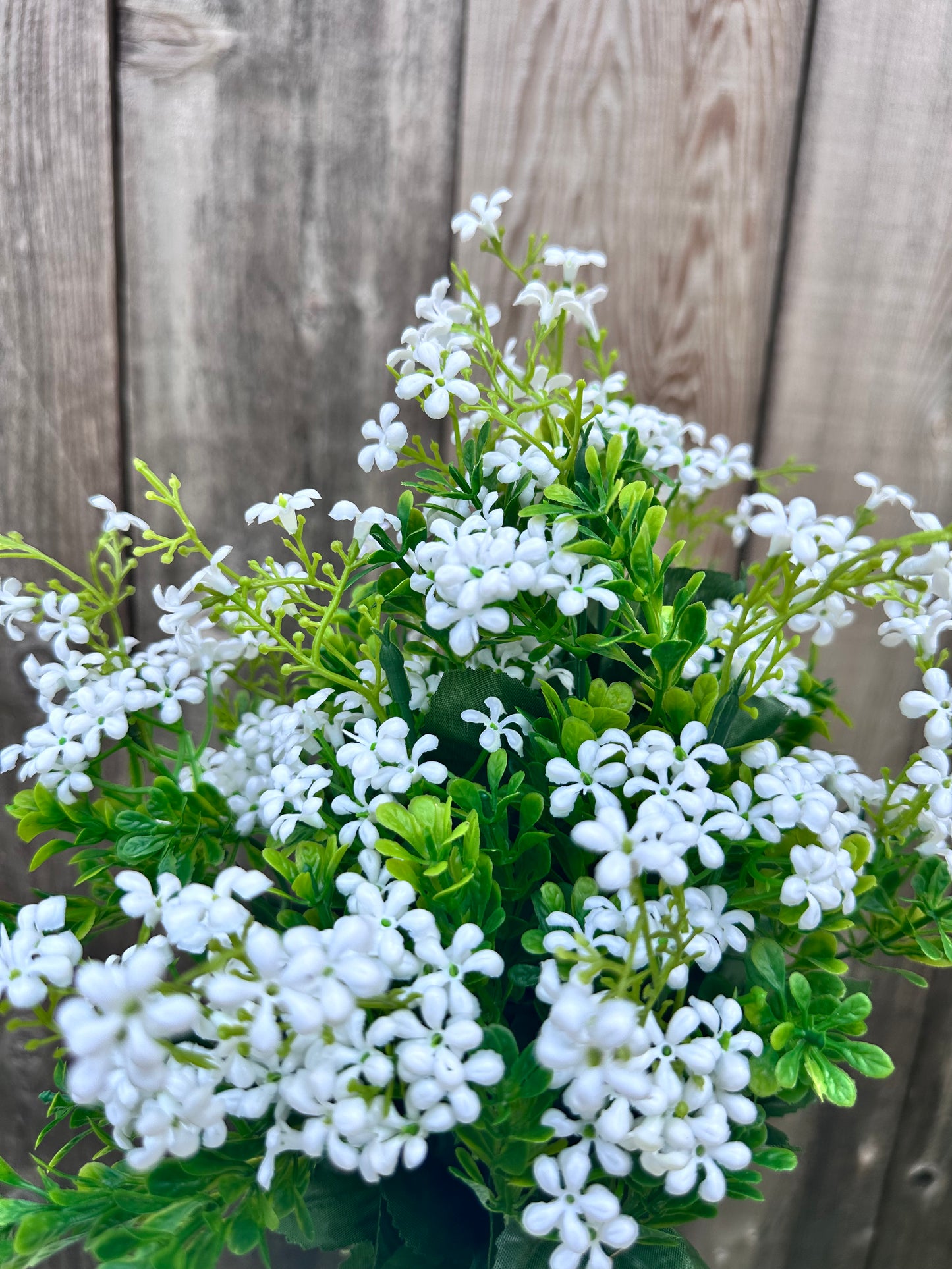 PLASTIC FORGET ME NOT 81192-WT