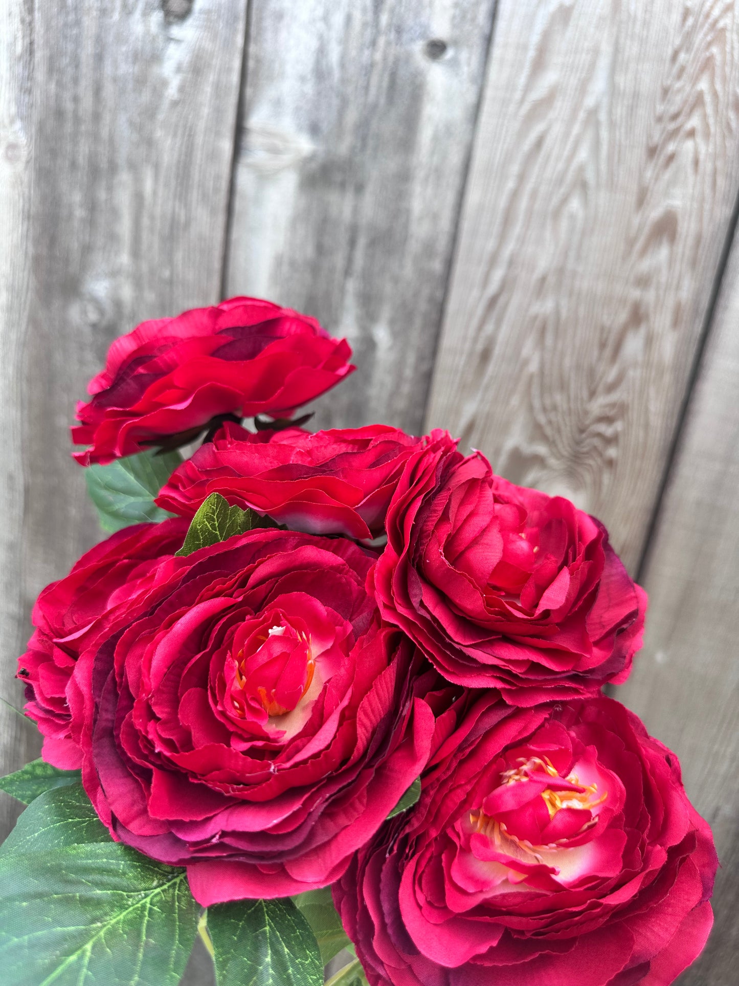 RANUNCULUS BUSH 84894-RD
