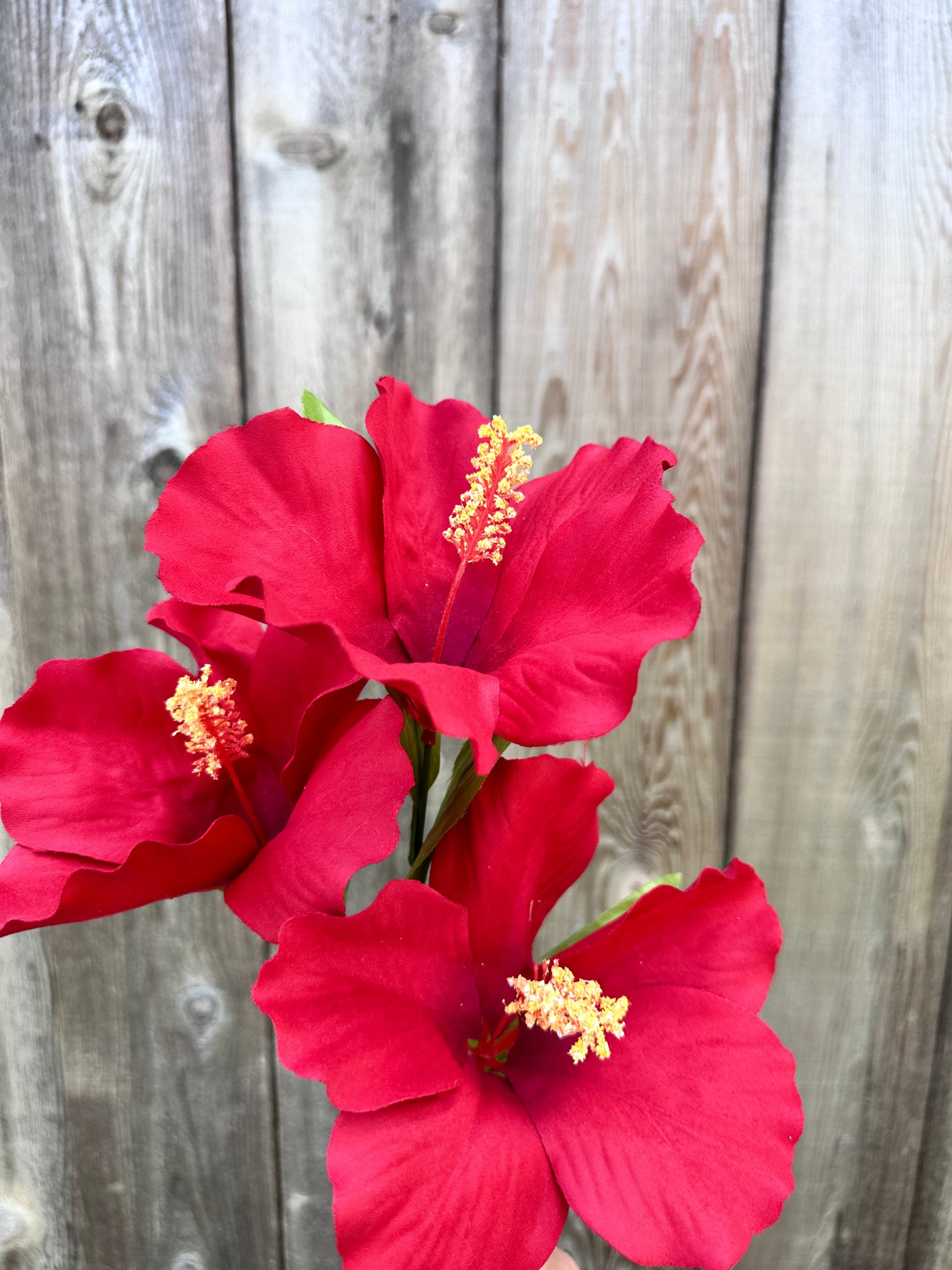 Hibiscus Spray 29414RD