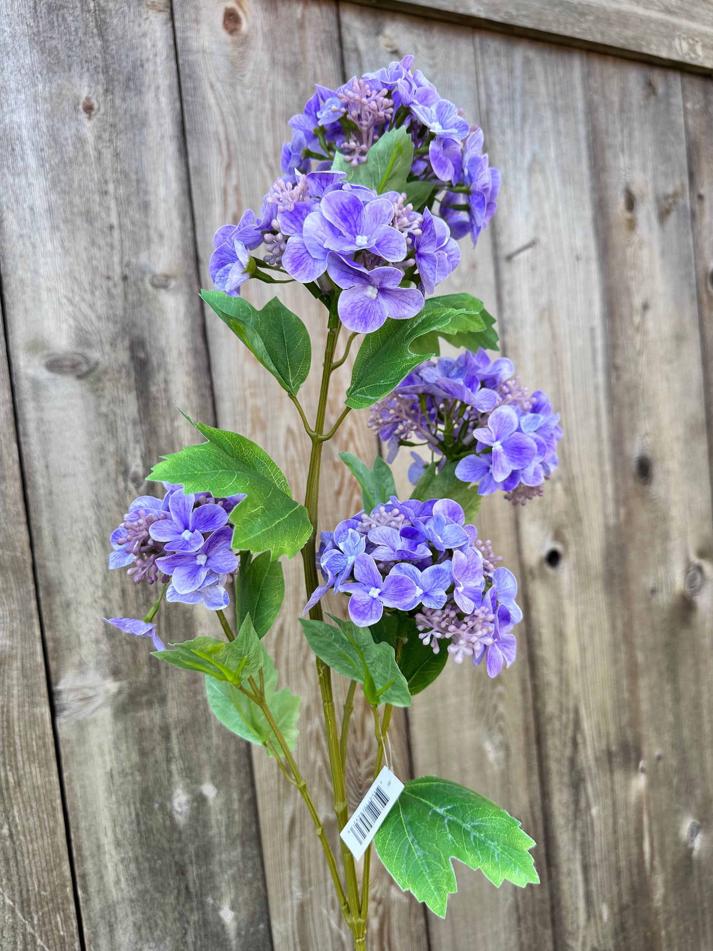 HYDRANGEA LG SPRAY PUR 79432
