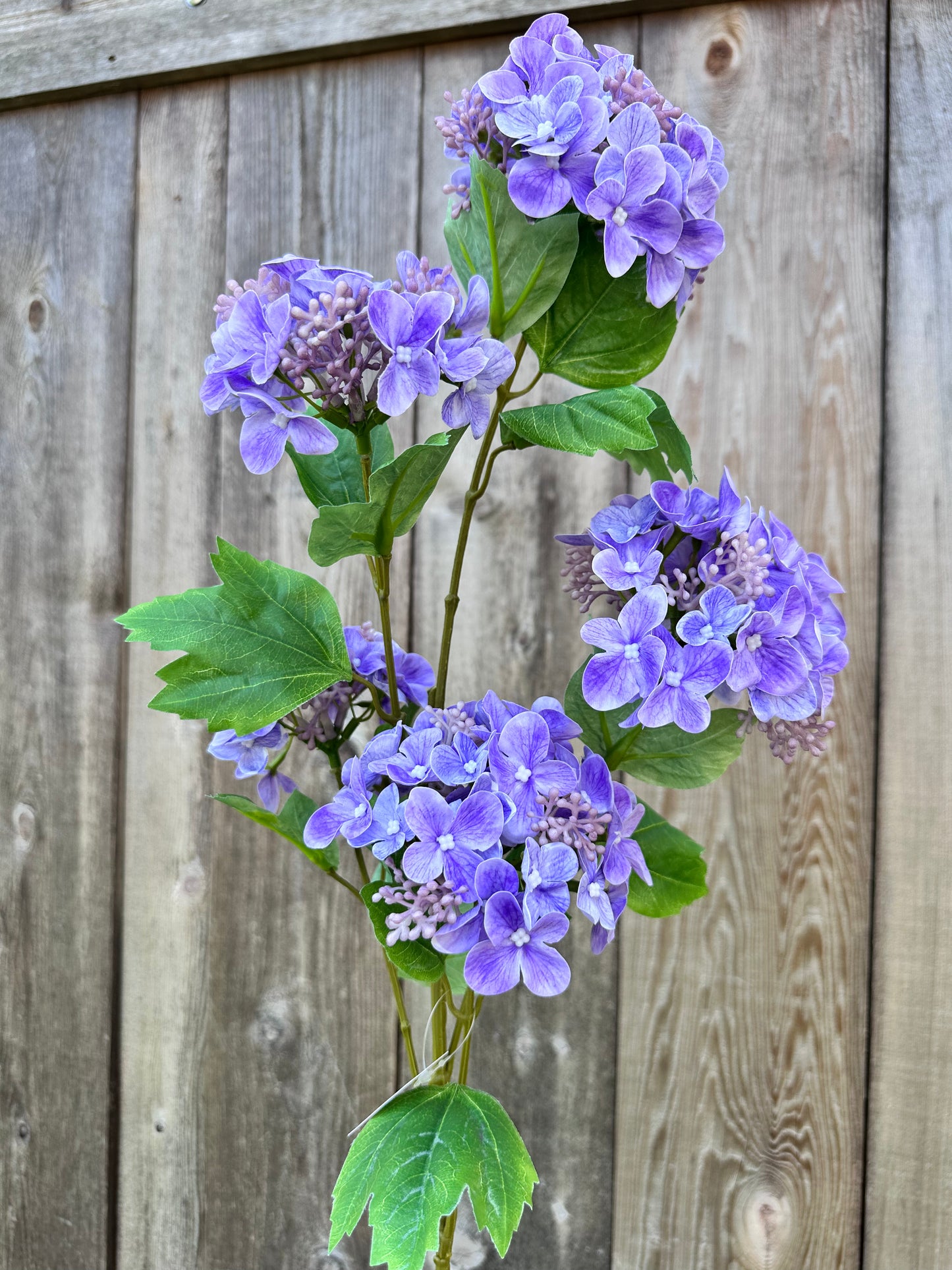 HYDRANGEA LG SPRAY PUR 79432
