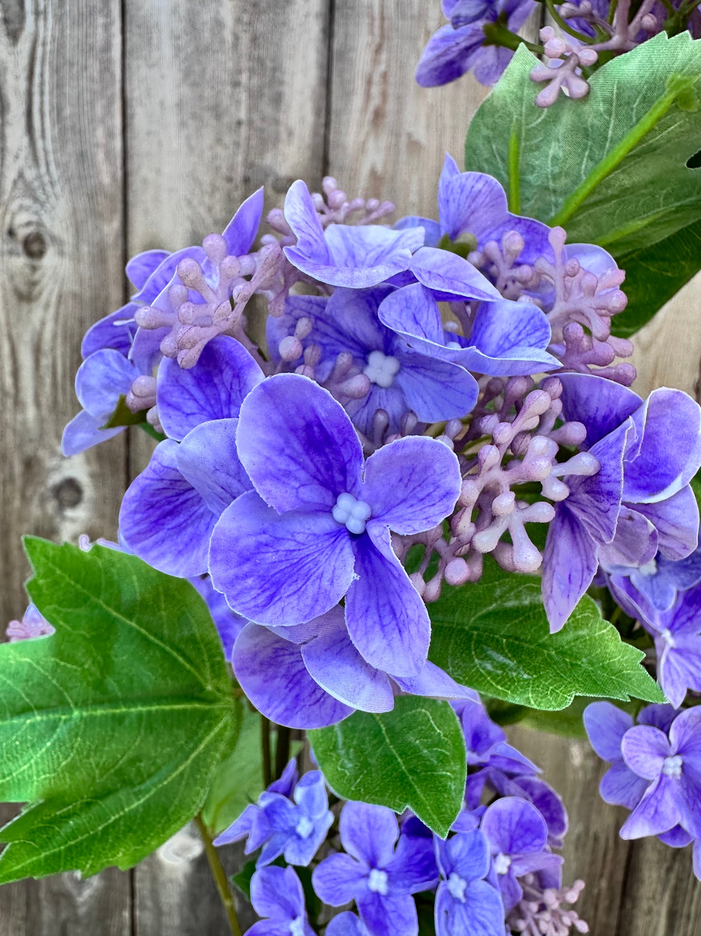 HYDRANGEA LG SPRAY PUR 79432