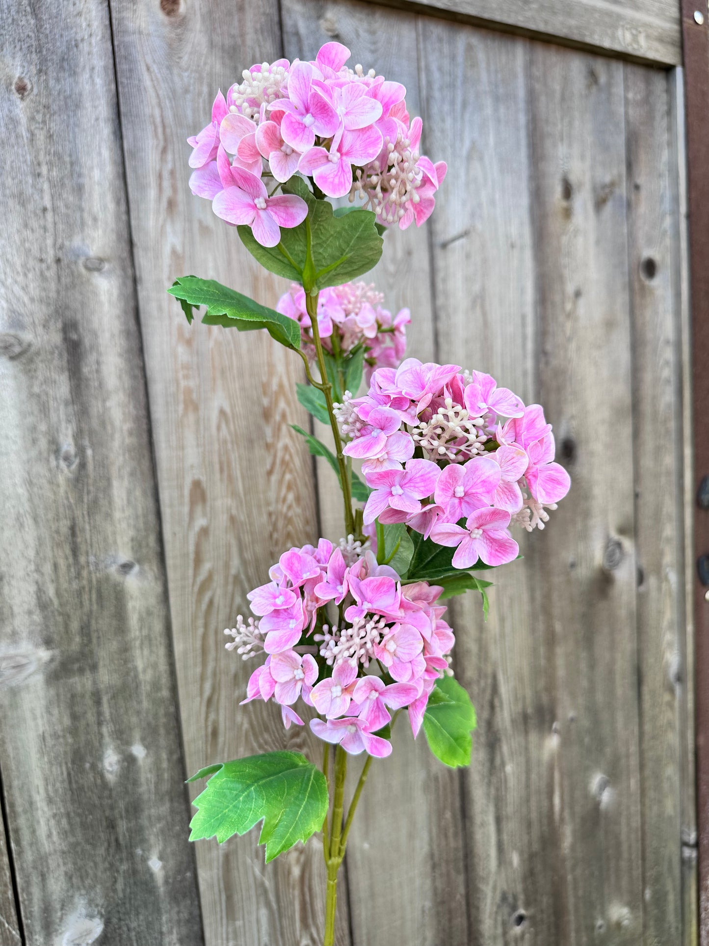 HYDRANGEA LG SPRAY PNK 79433