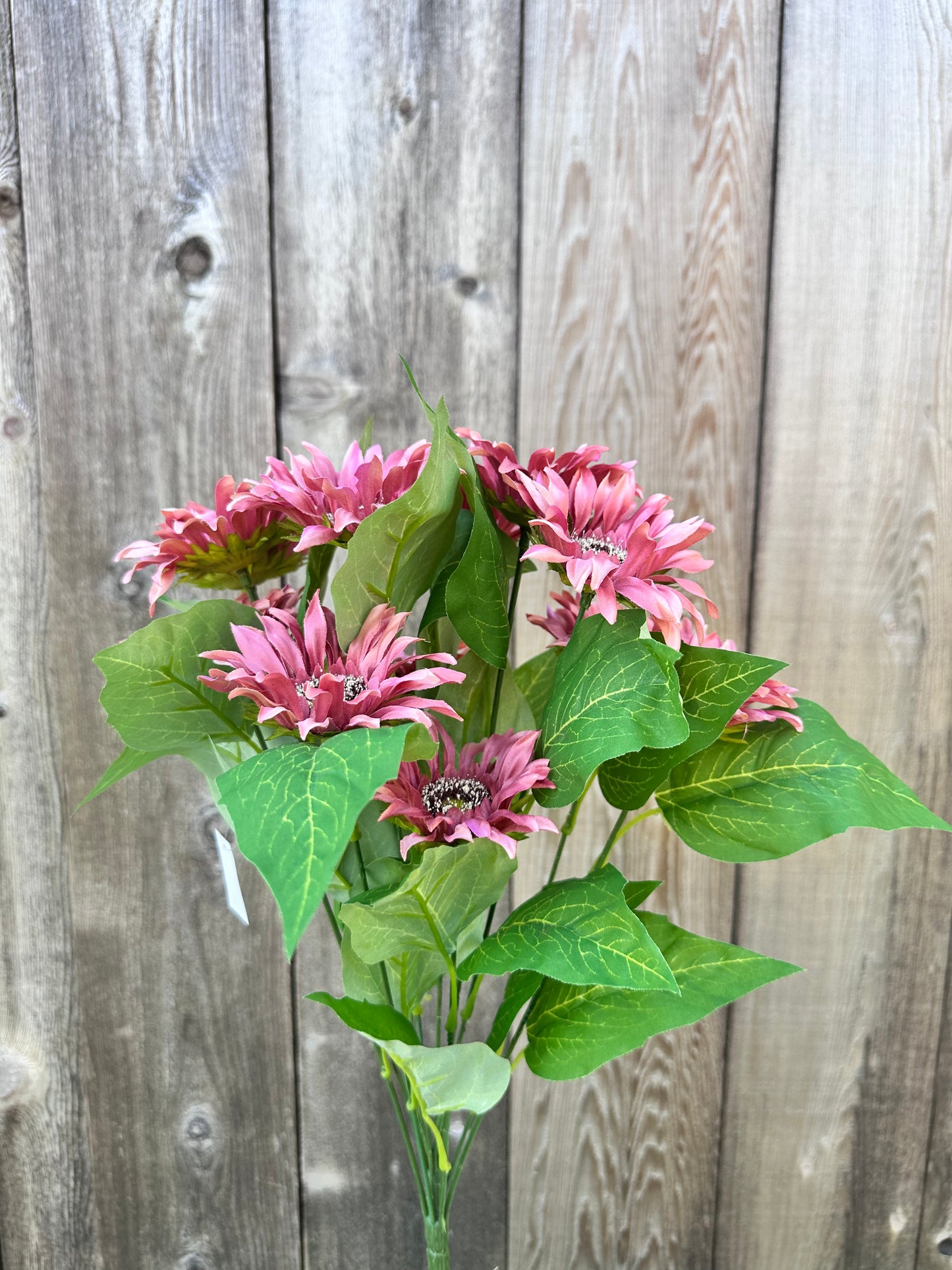 SUNFLOWER BUSH SM 12063