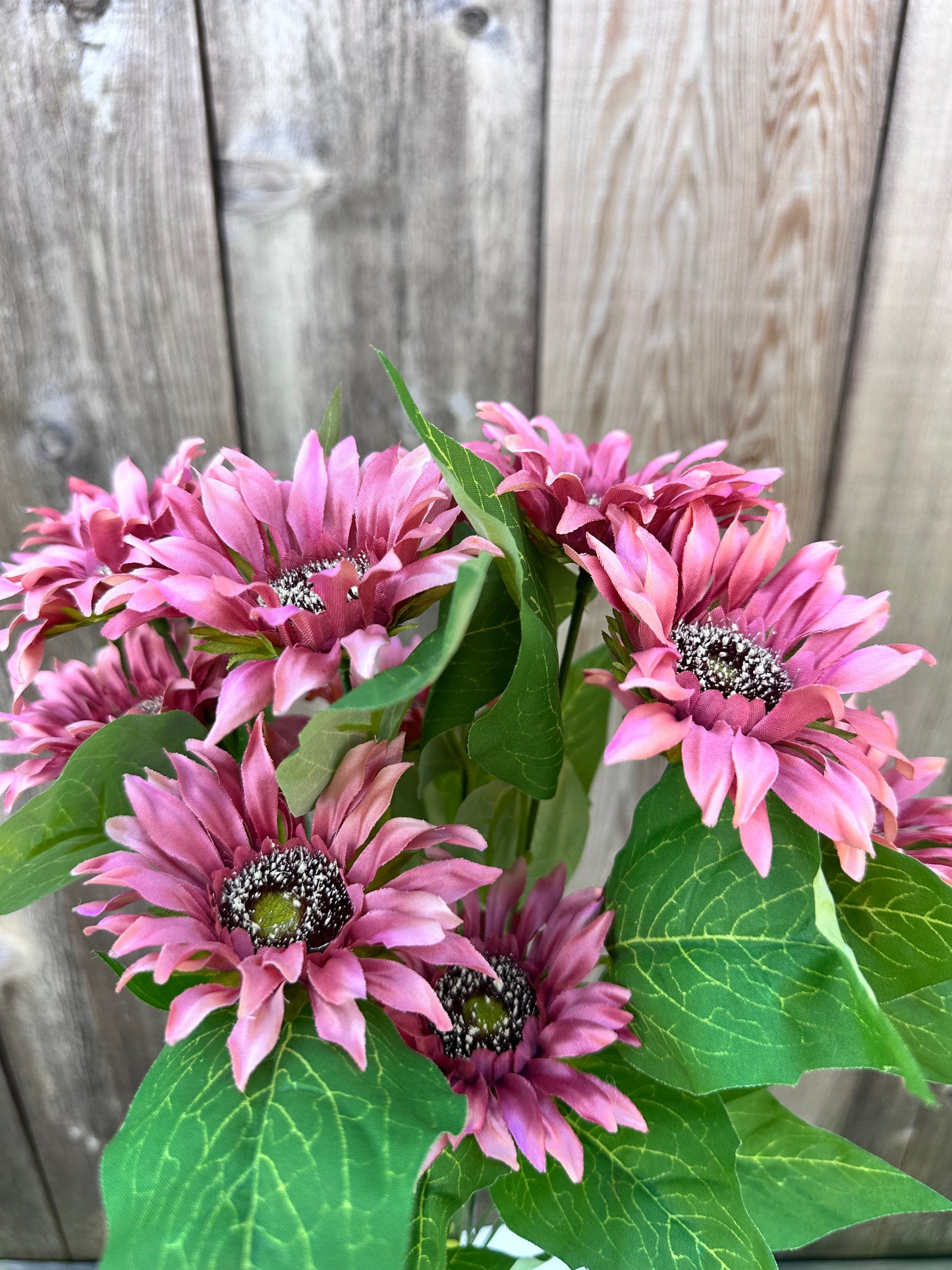 SUNFLOWER BUSH SM 12063