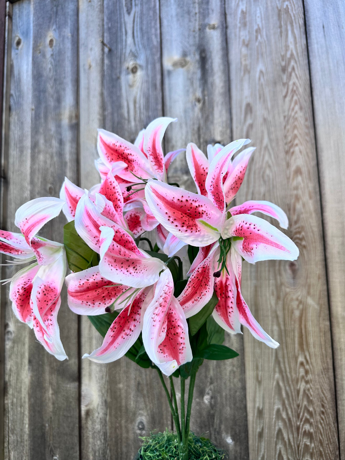 Lily Bush 35022RU