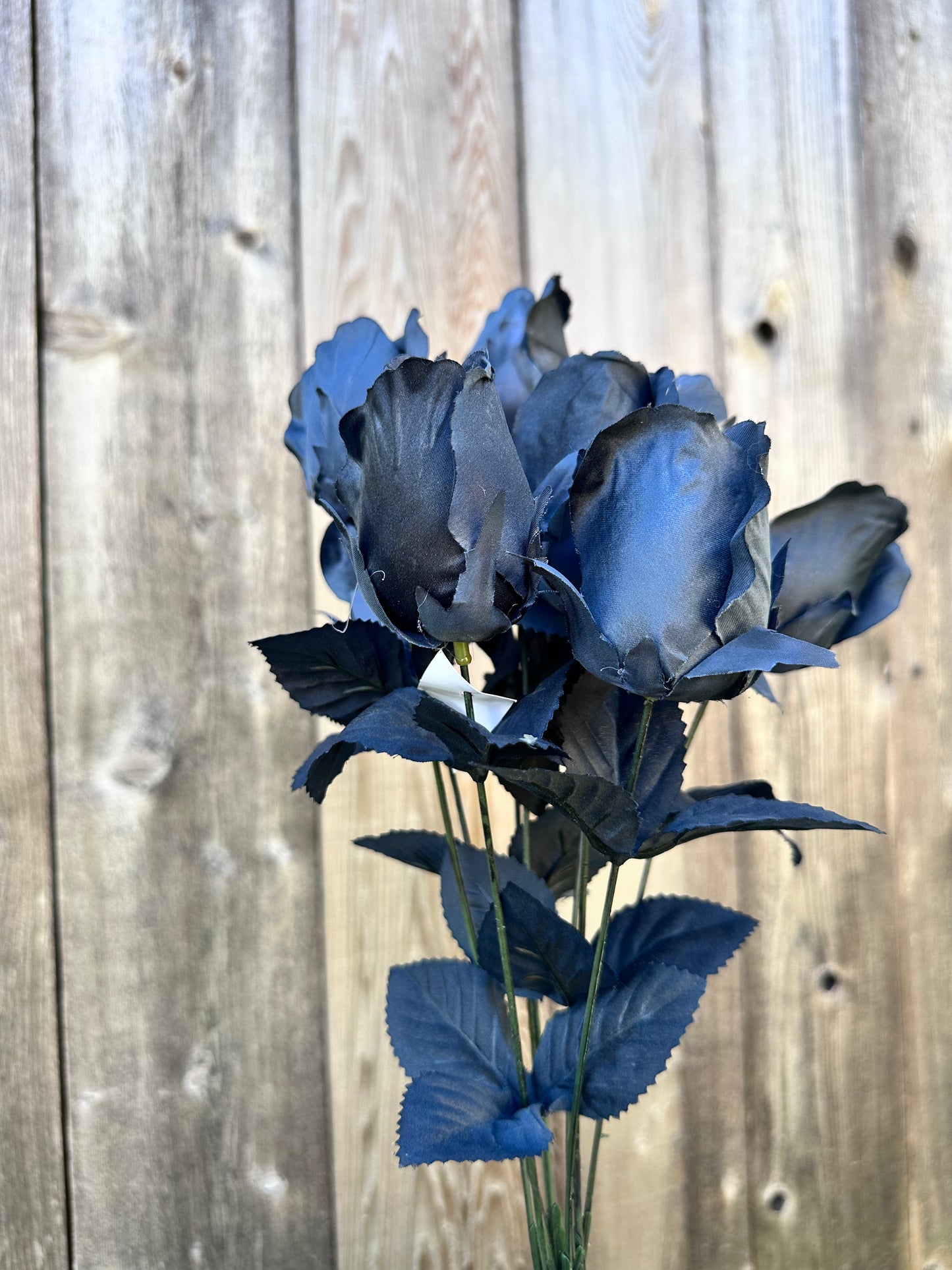 ROSE BUD BUSH 84804-BK