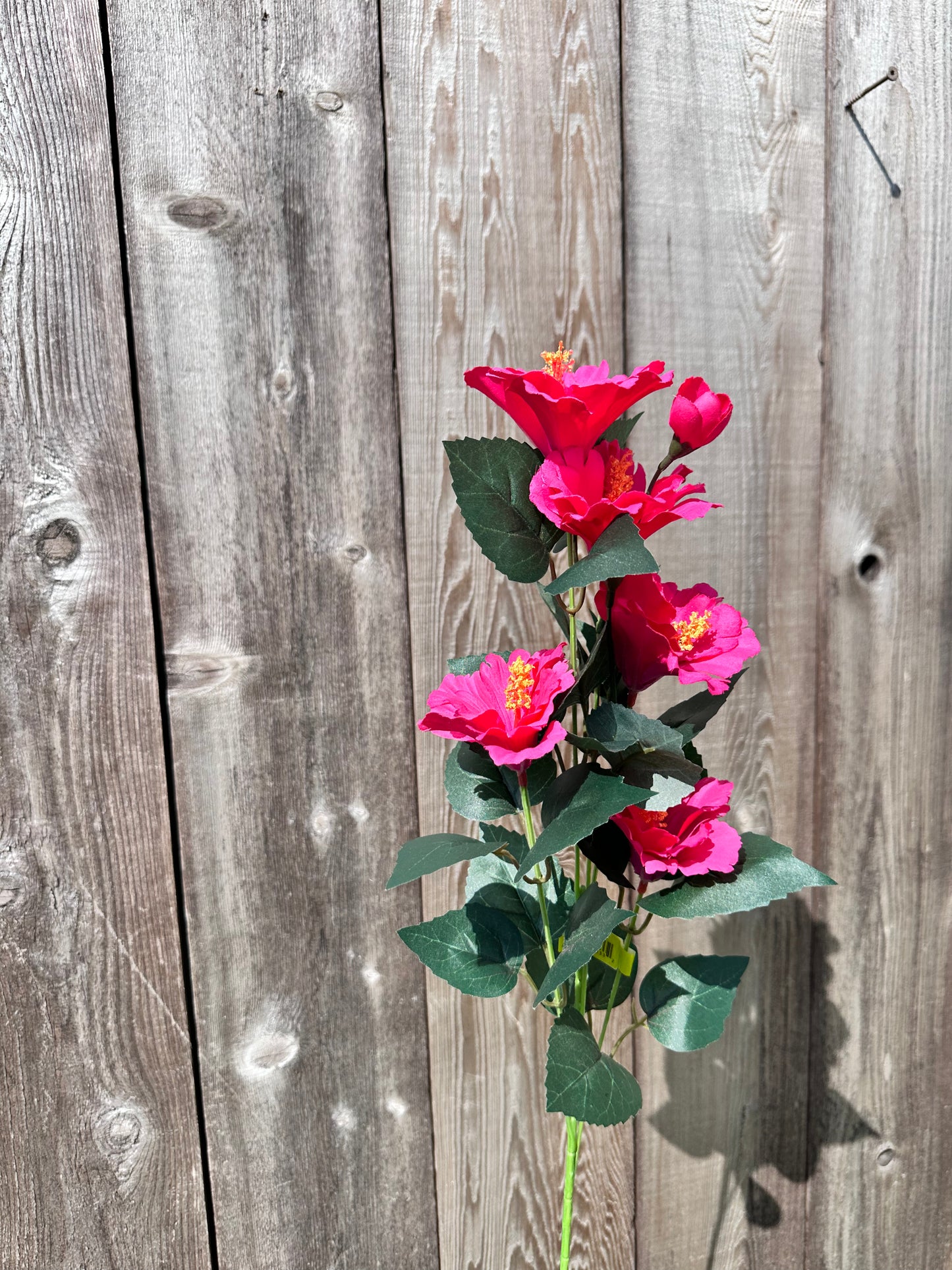 Hibiscus Spray     63339BT