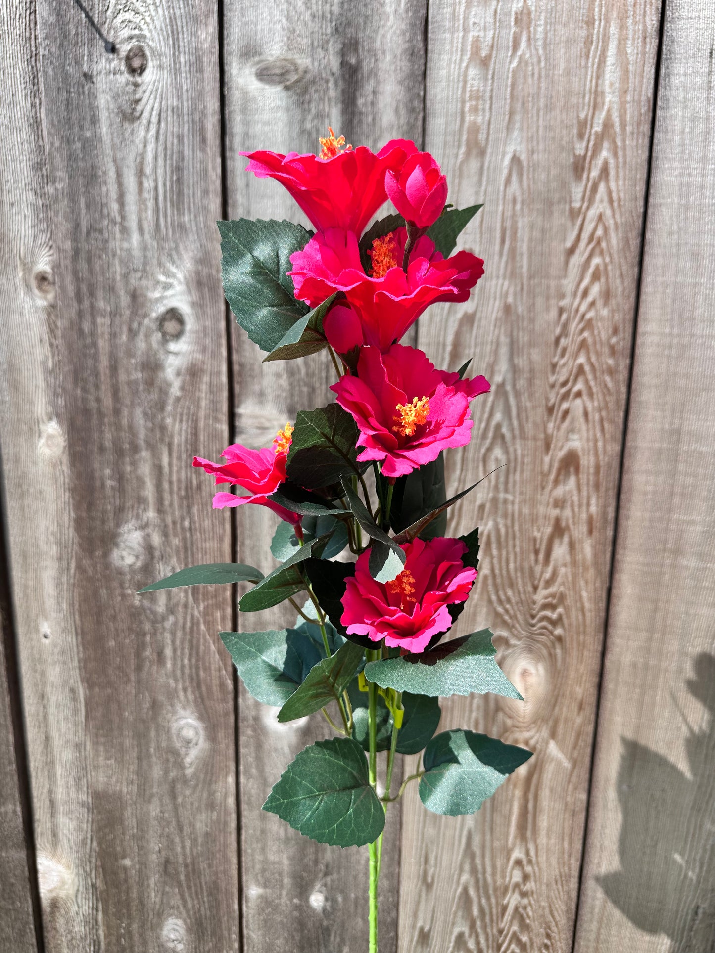 Hibiscus Spray     63339BT
