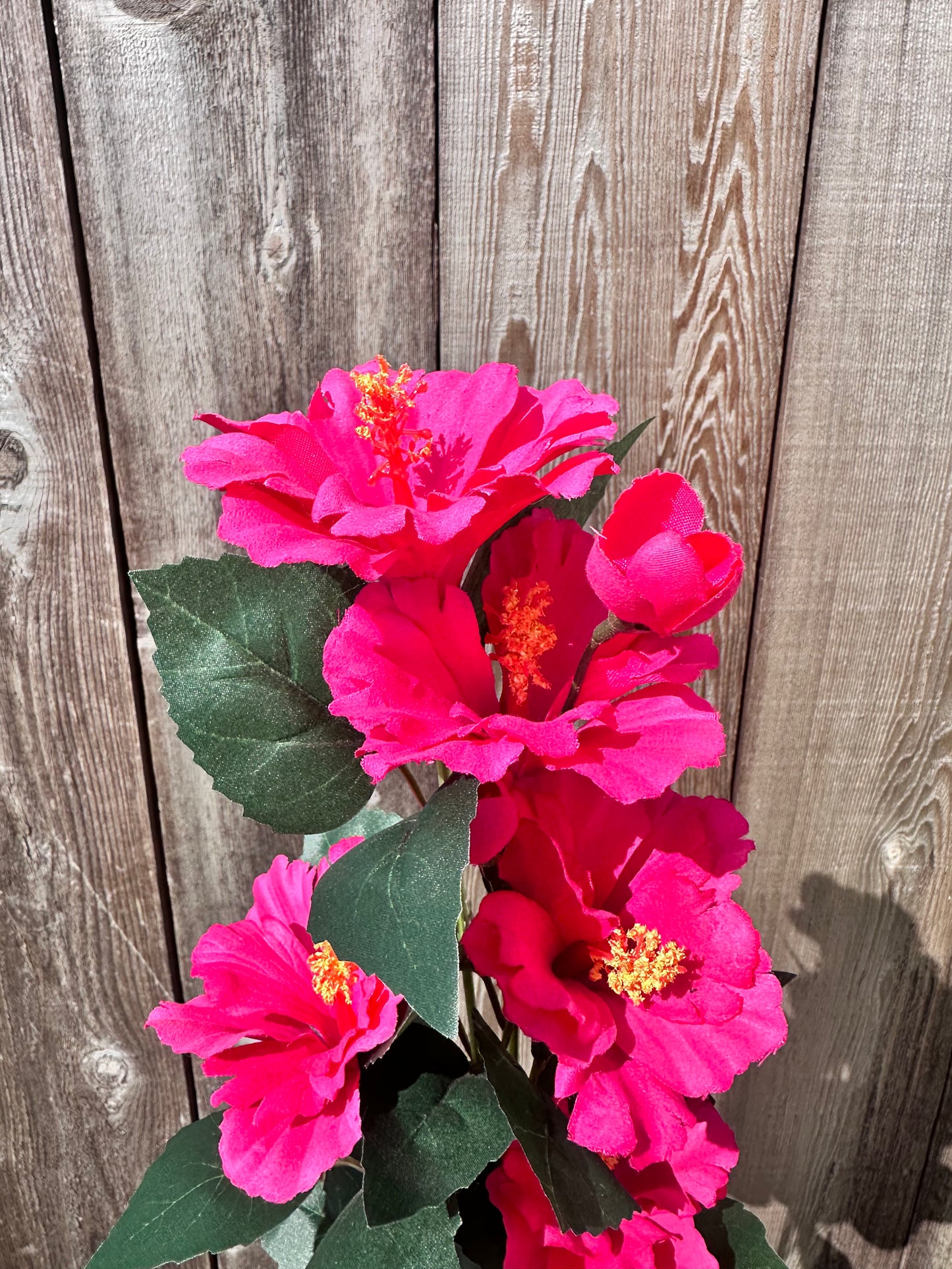 Hibiscus Spray     63339BT