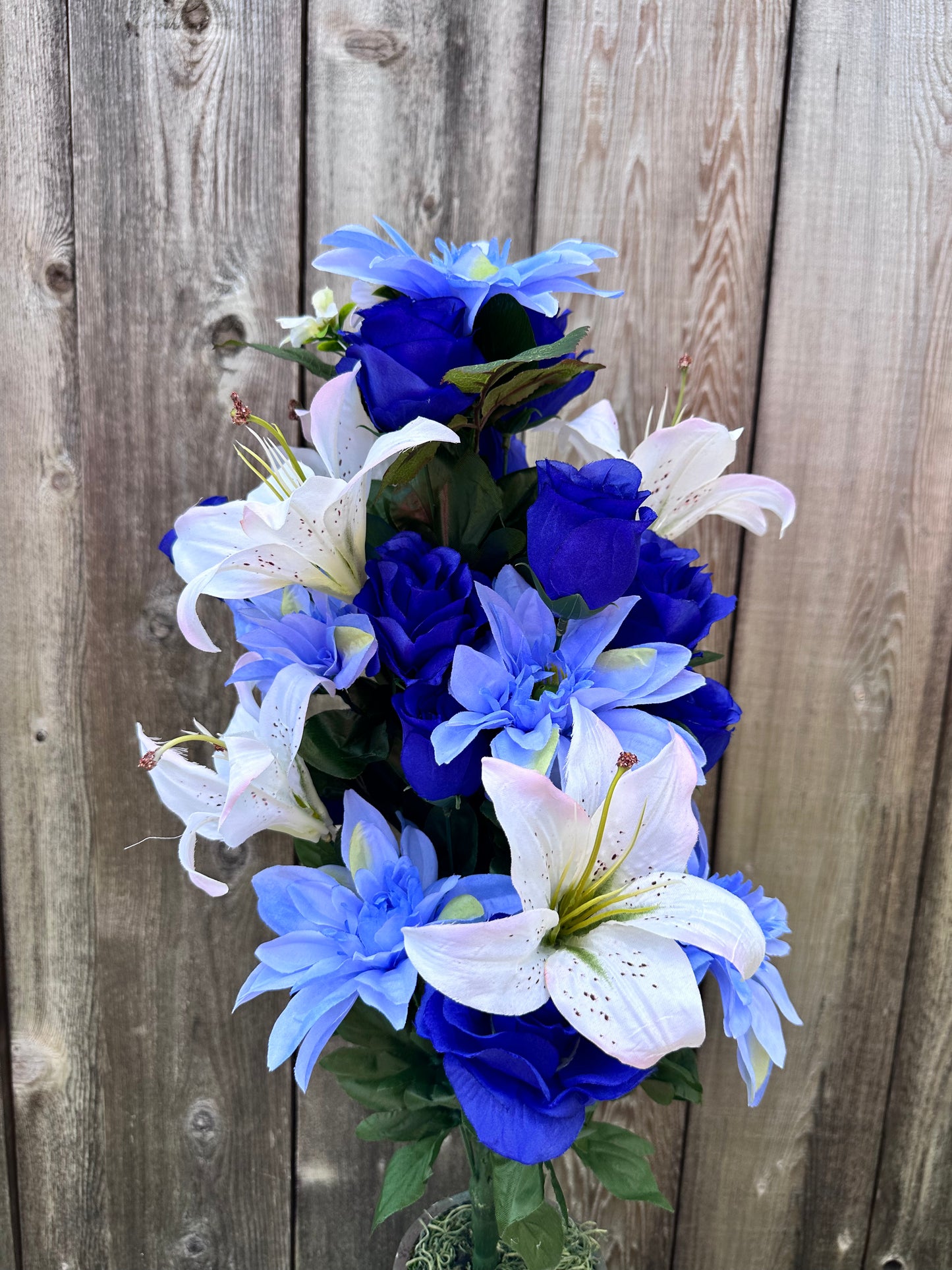 Color Fast Dahlia Lily Bush 30405BL