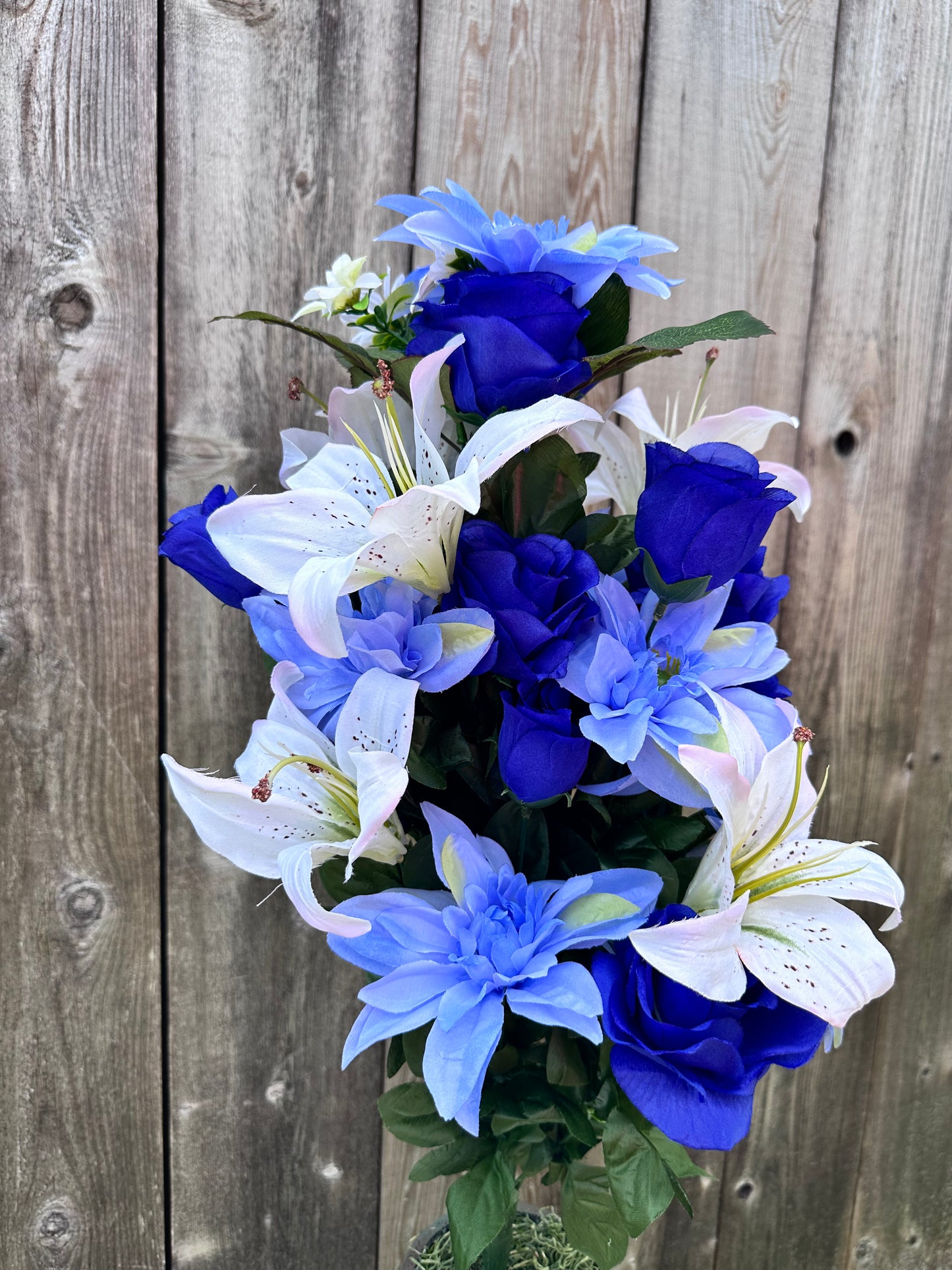 Color Fast Dahlia Lily Bush 30405BL