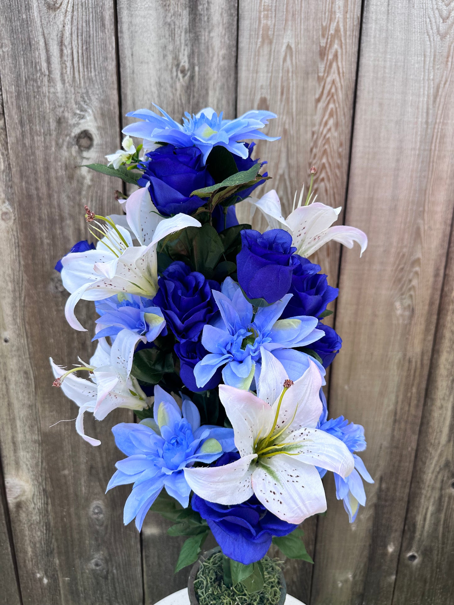 Color Fast Dahlia Lily Bush 30405BL