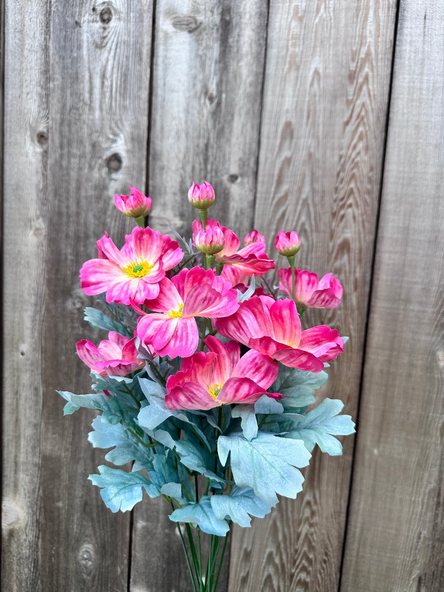 COSMOS BUSH 84299-BTY