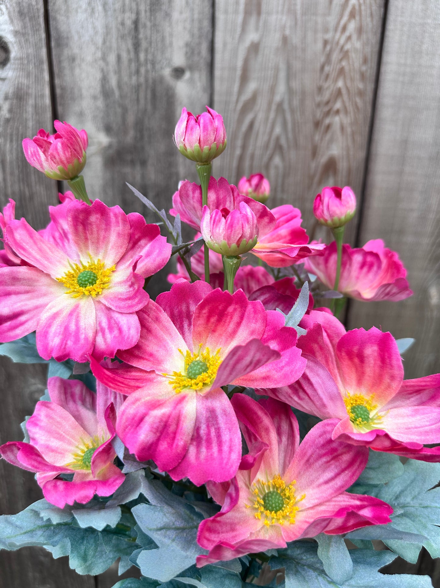 COSMOS BUSH 84299-BTY