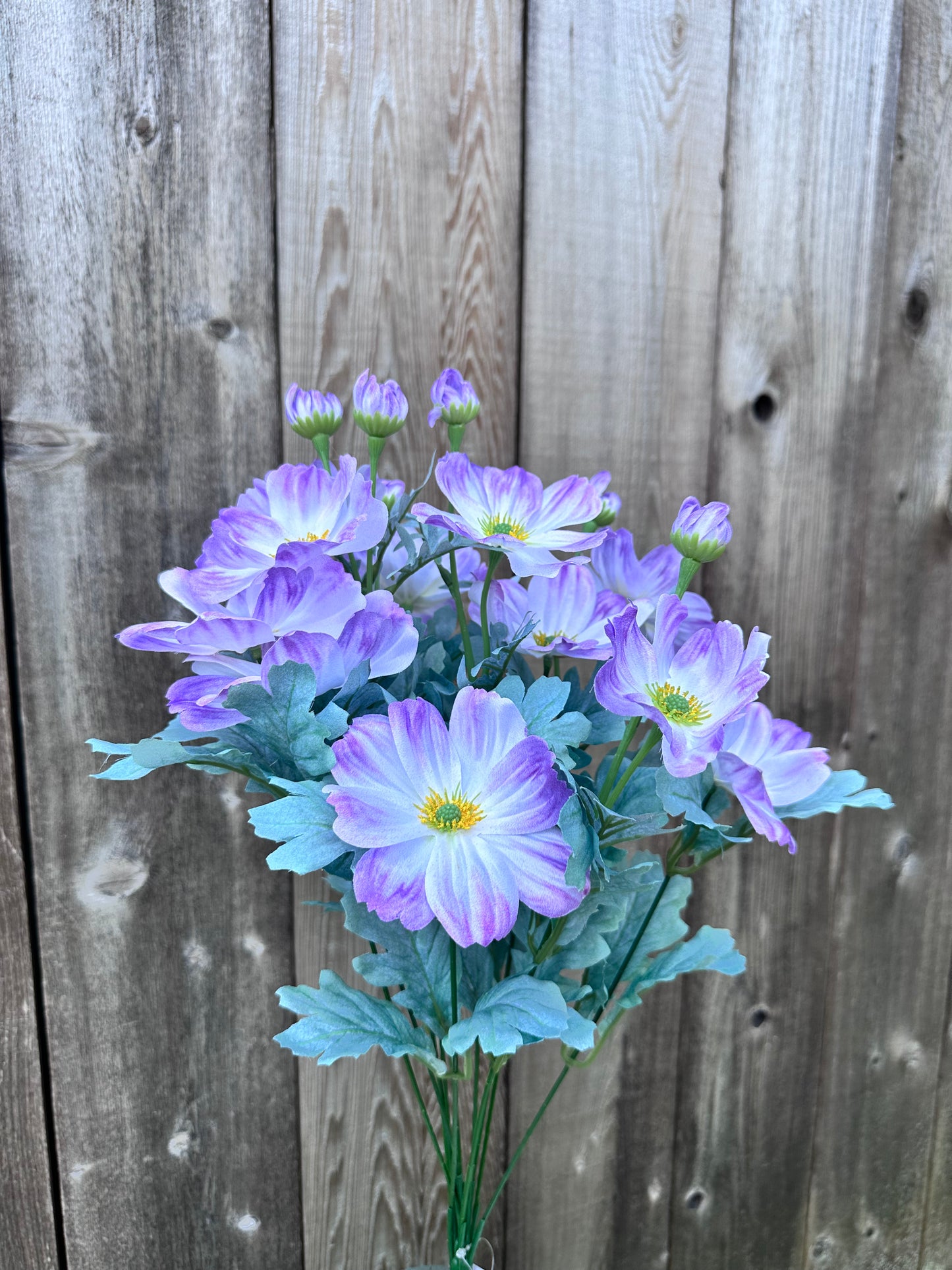 COSMOS BUSH 84299-LV