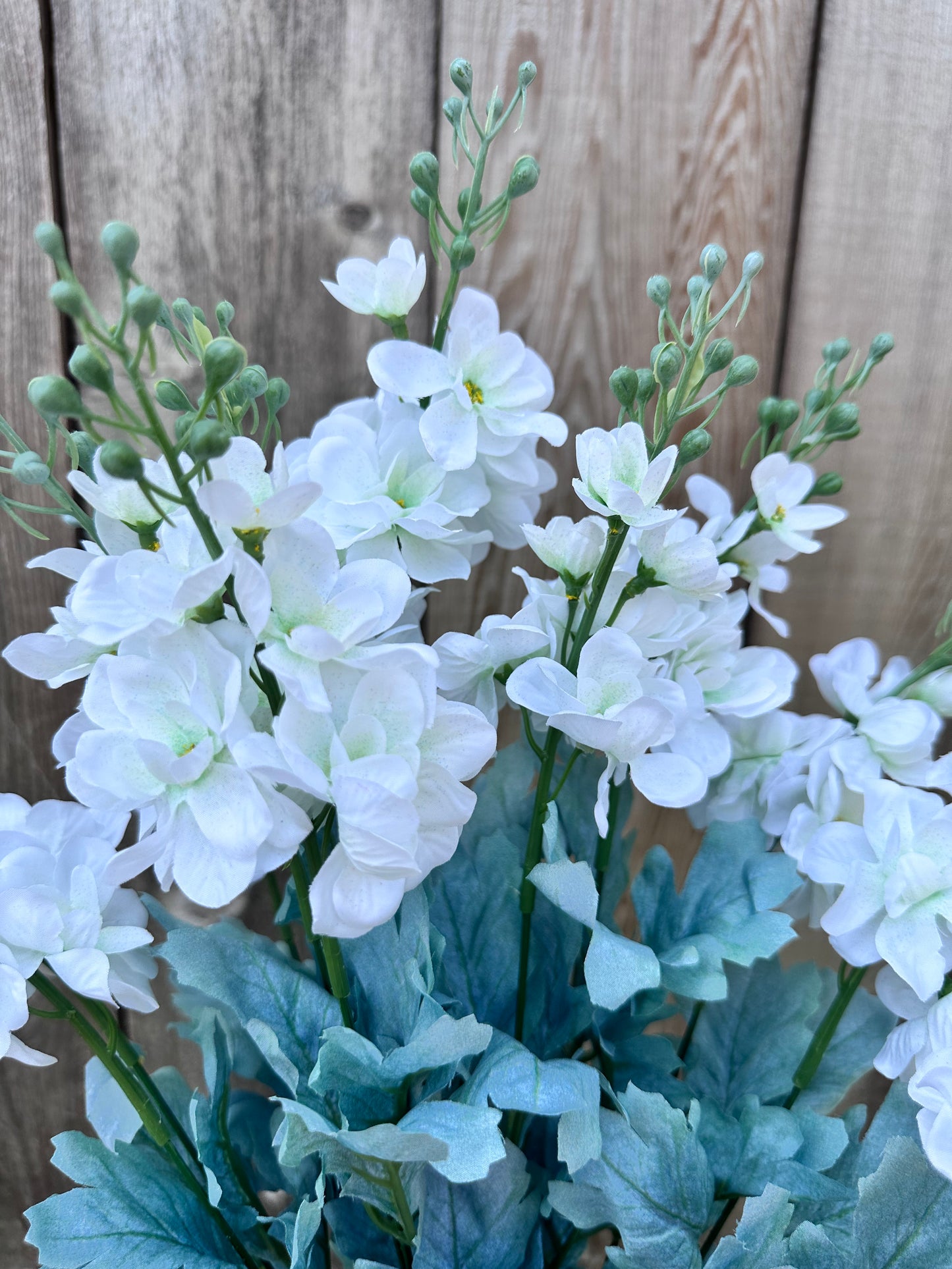 DELPHINIUM BUSH 84296-CR