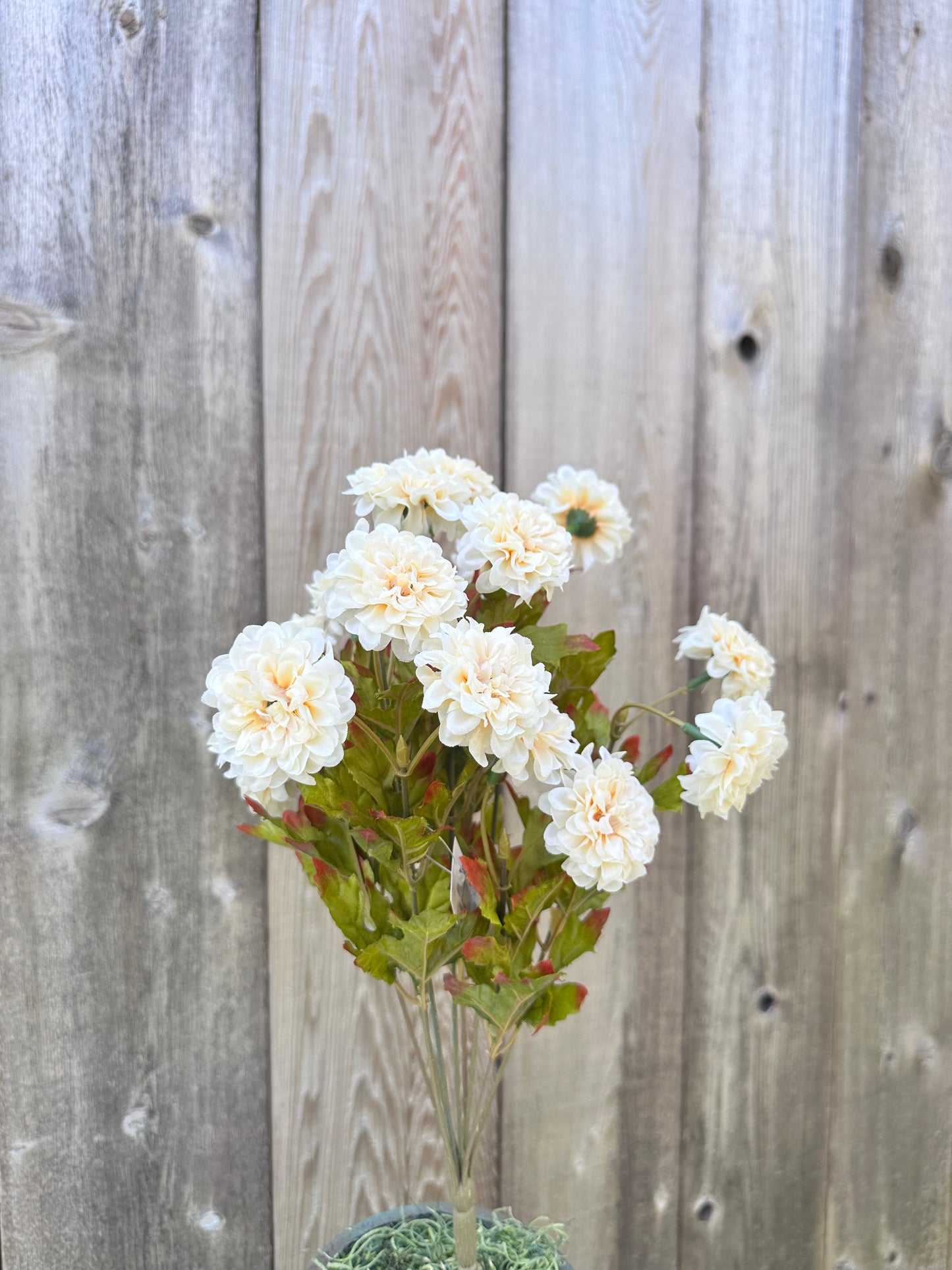 MARIGOLD BUSH 84402-BEIGE