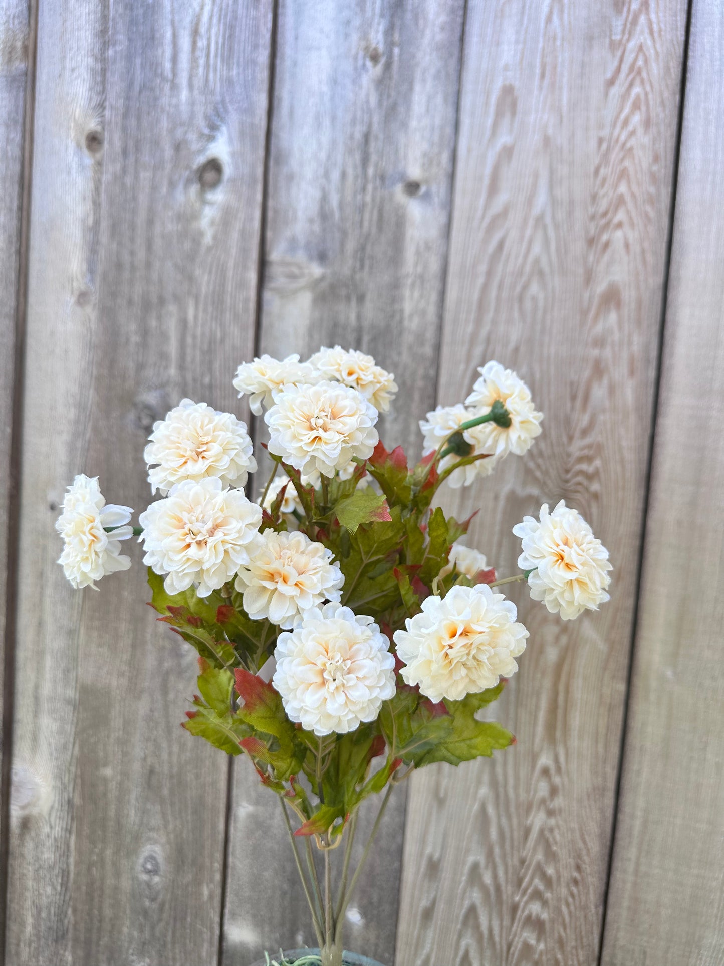 MARIGOLD BUSH 84402-BEIGE