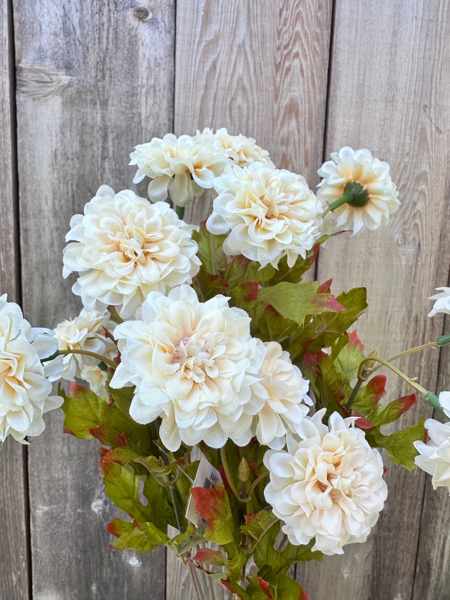 MARIGOLD BUSH 84402-BEIGE