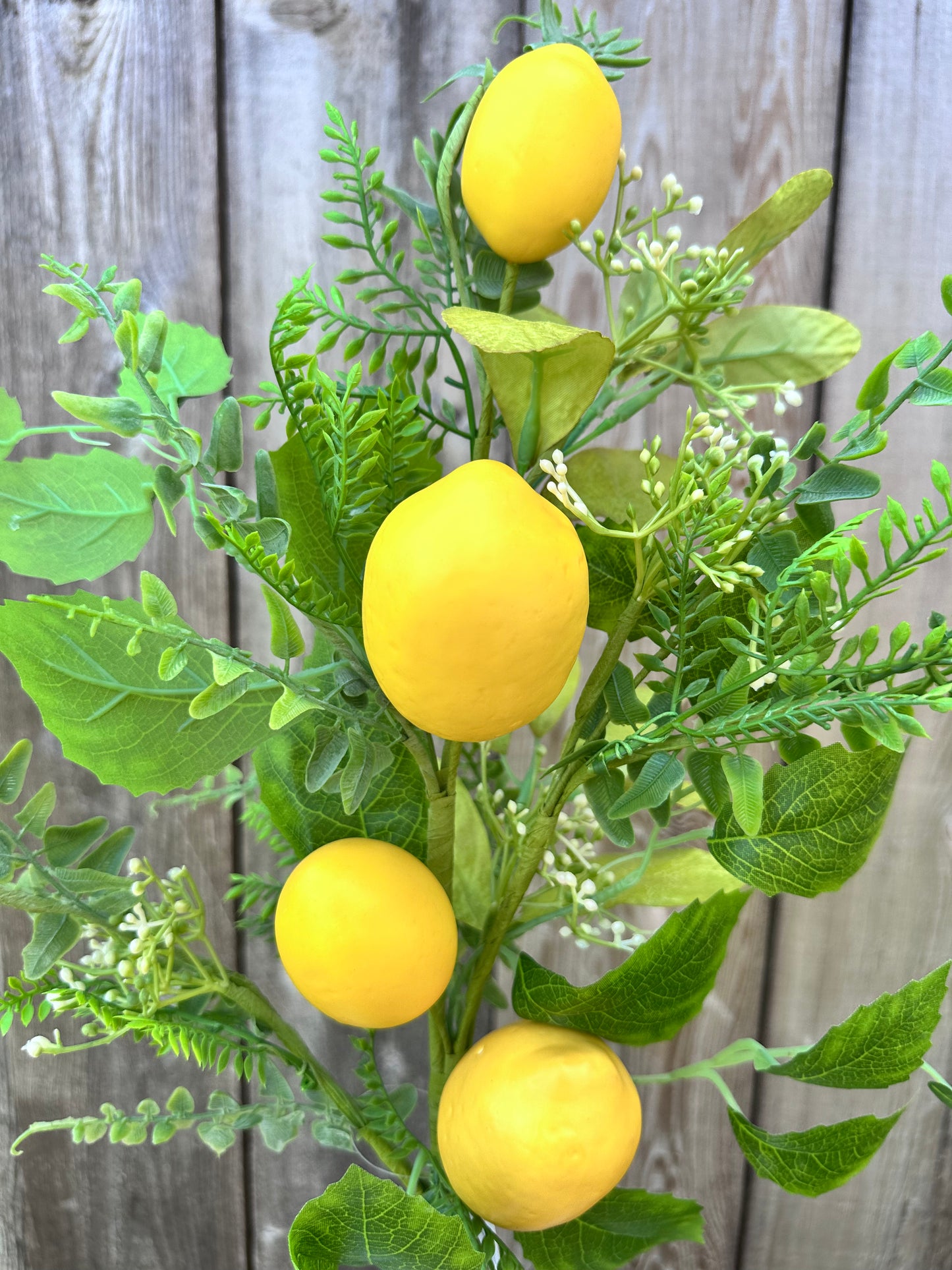LEMON SPRAY 62218