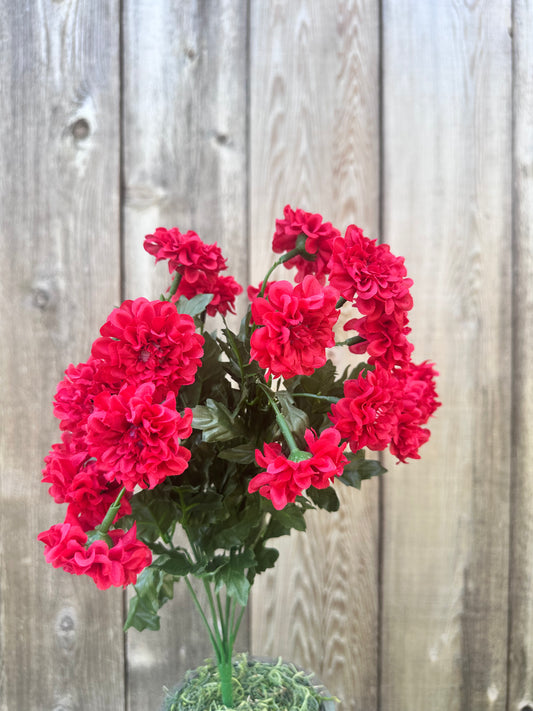 MINI ZINNIA BUSH  82367-RD
