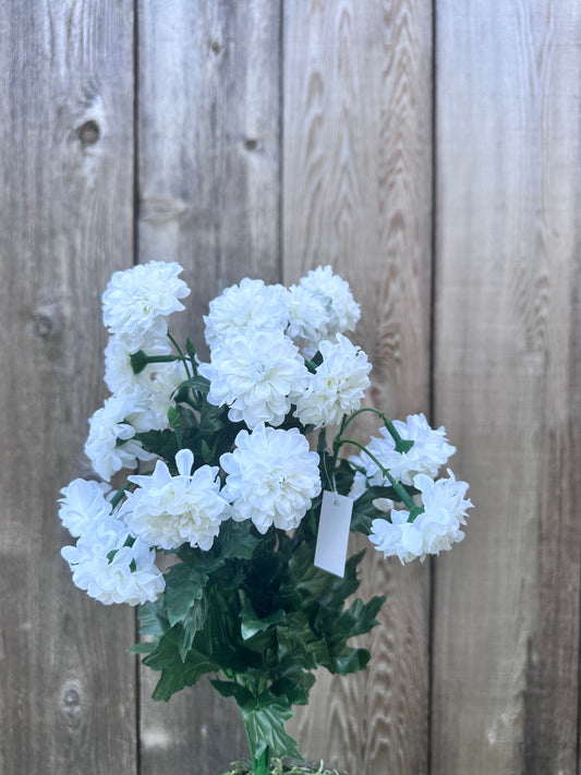 MINI ZINNIA BUSH   82367-CR
