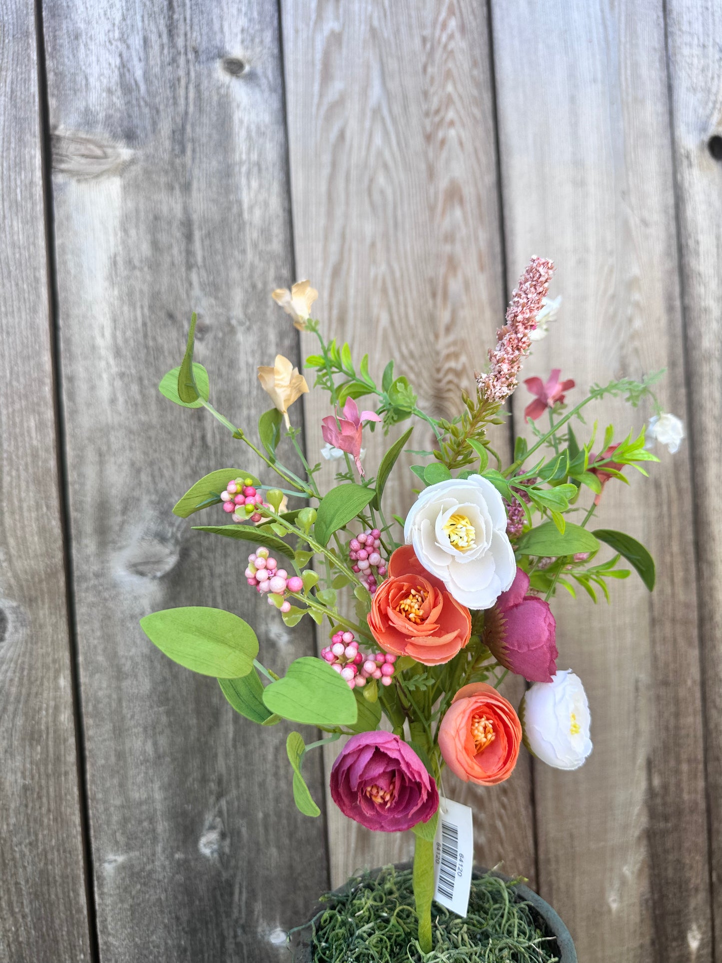 RANUNCULUS BUSH 64120