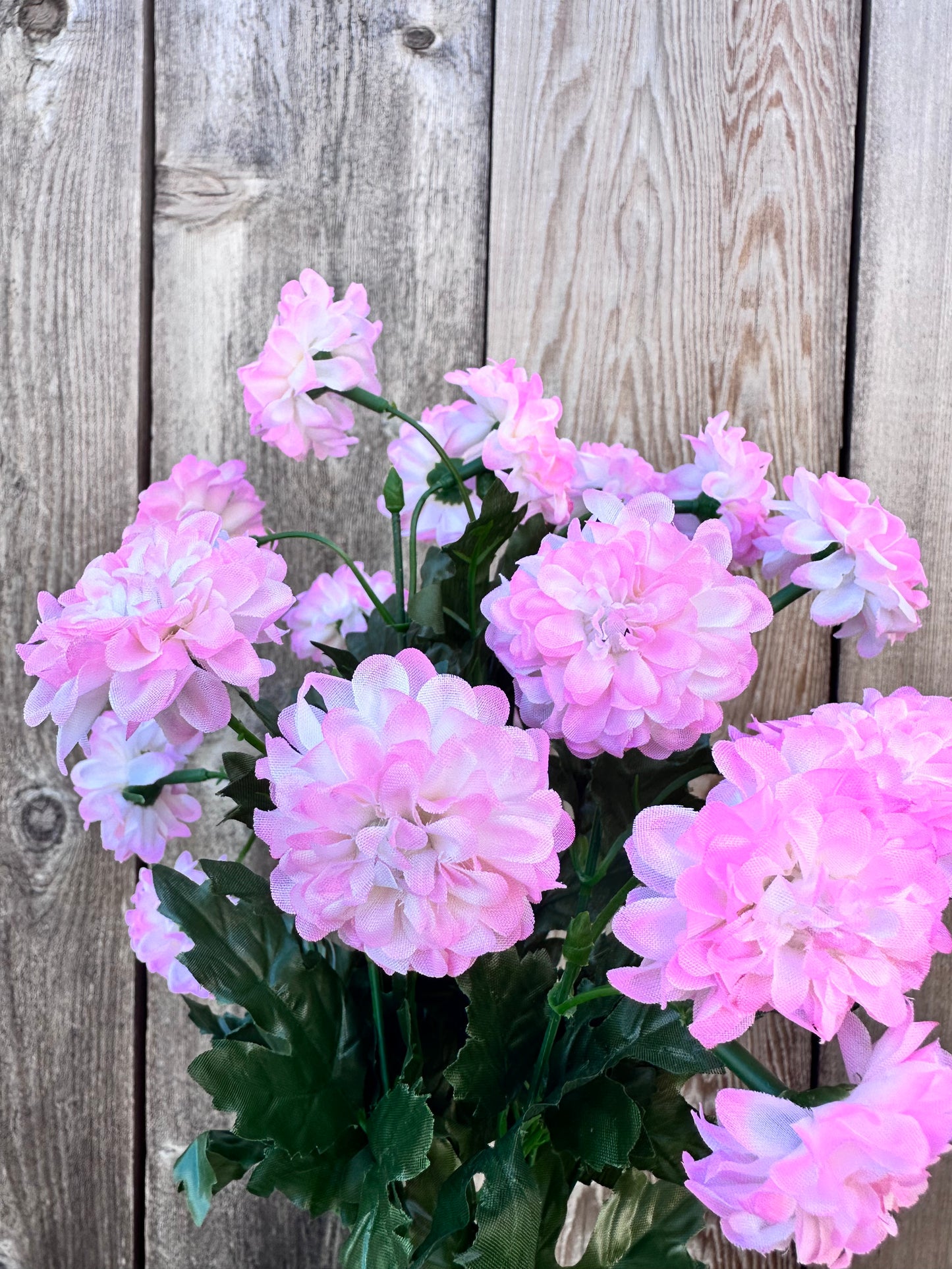 MINI ZINNIA BUSH 82367-PK
