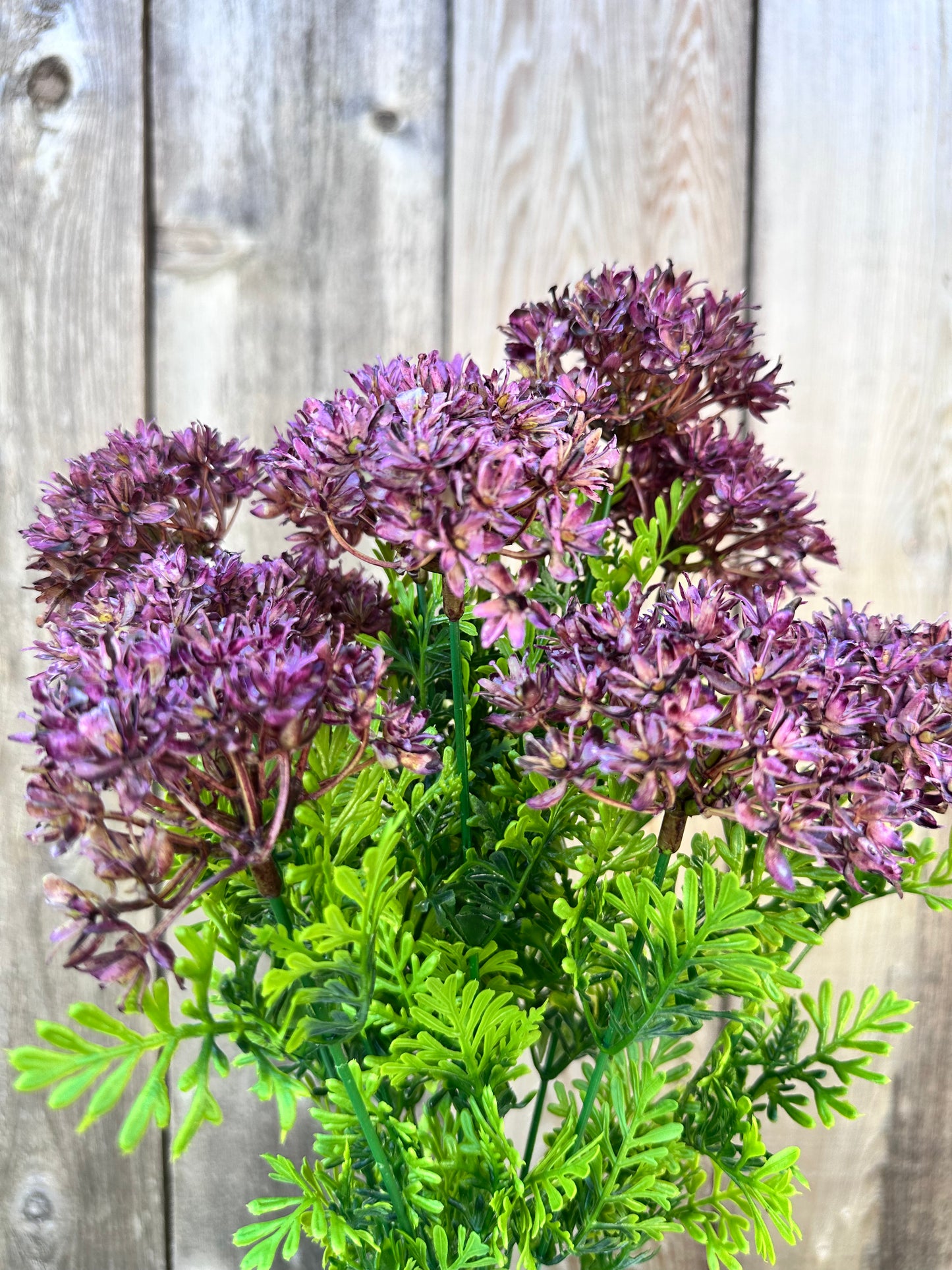ALLIUM BUSH 82401-PU