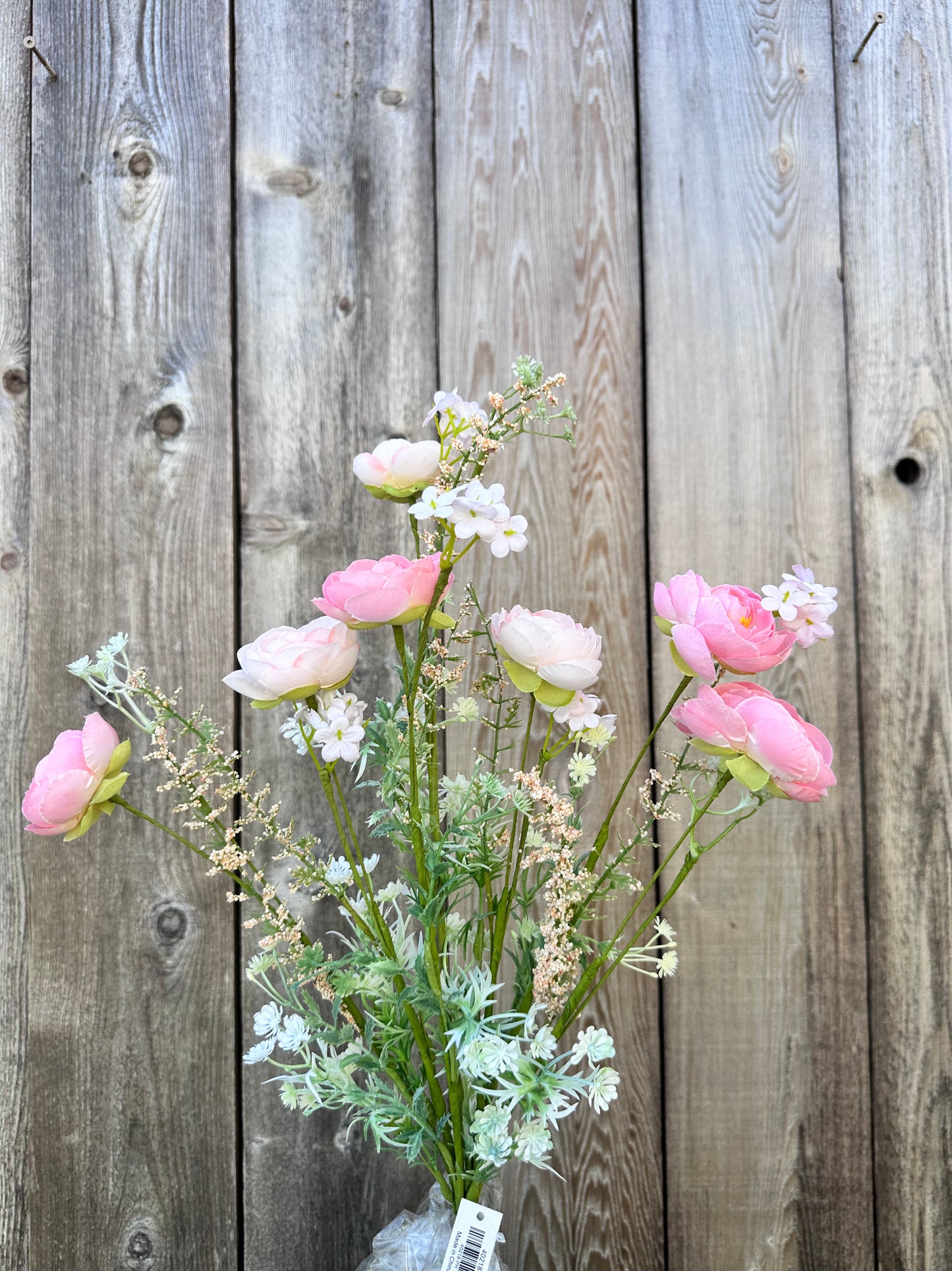 RANUNCULUS MIXED 40218-PH