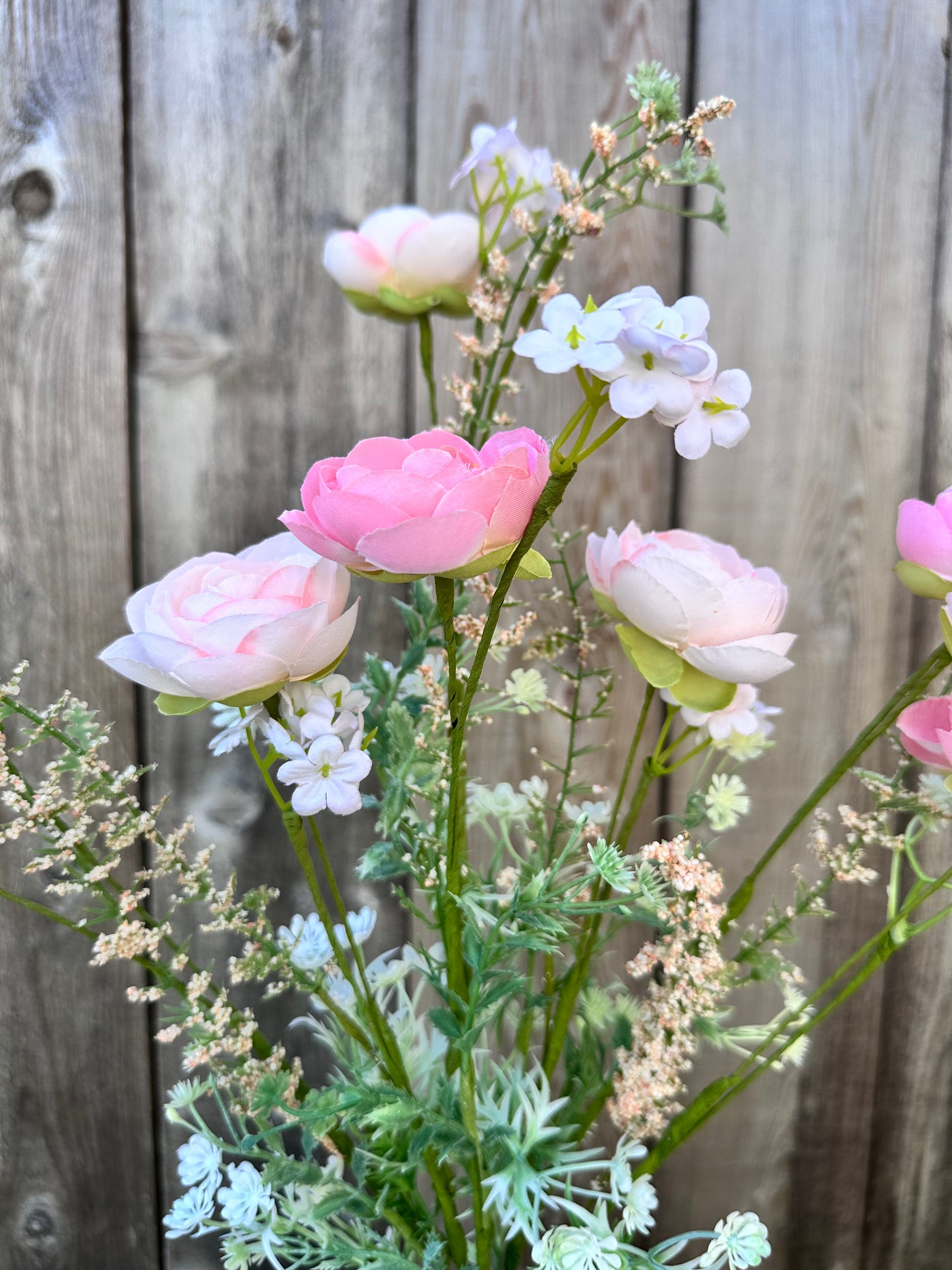 RANUNCULUS MIXED 40218-PH