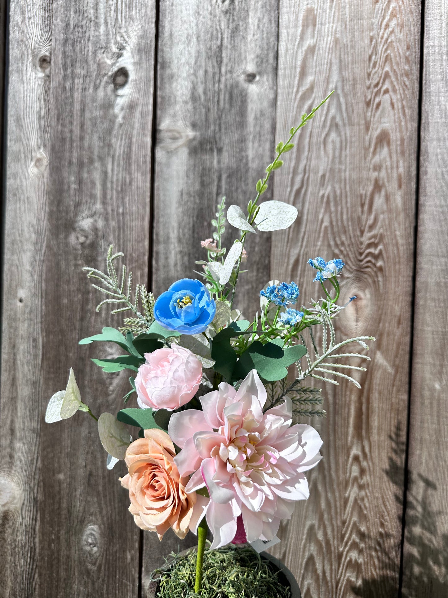 ROSE PEONY BUSH 64110