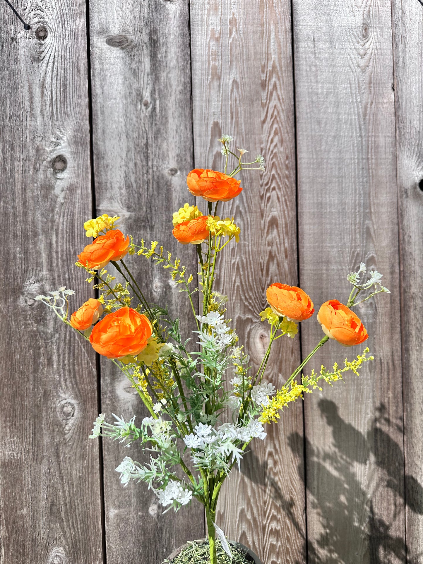 RANUNCULUS MIXED 40218-OR