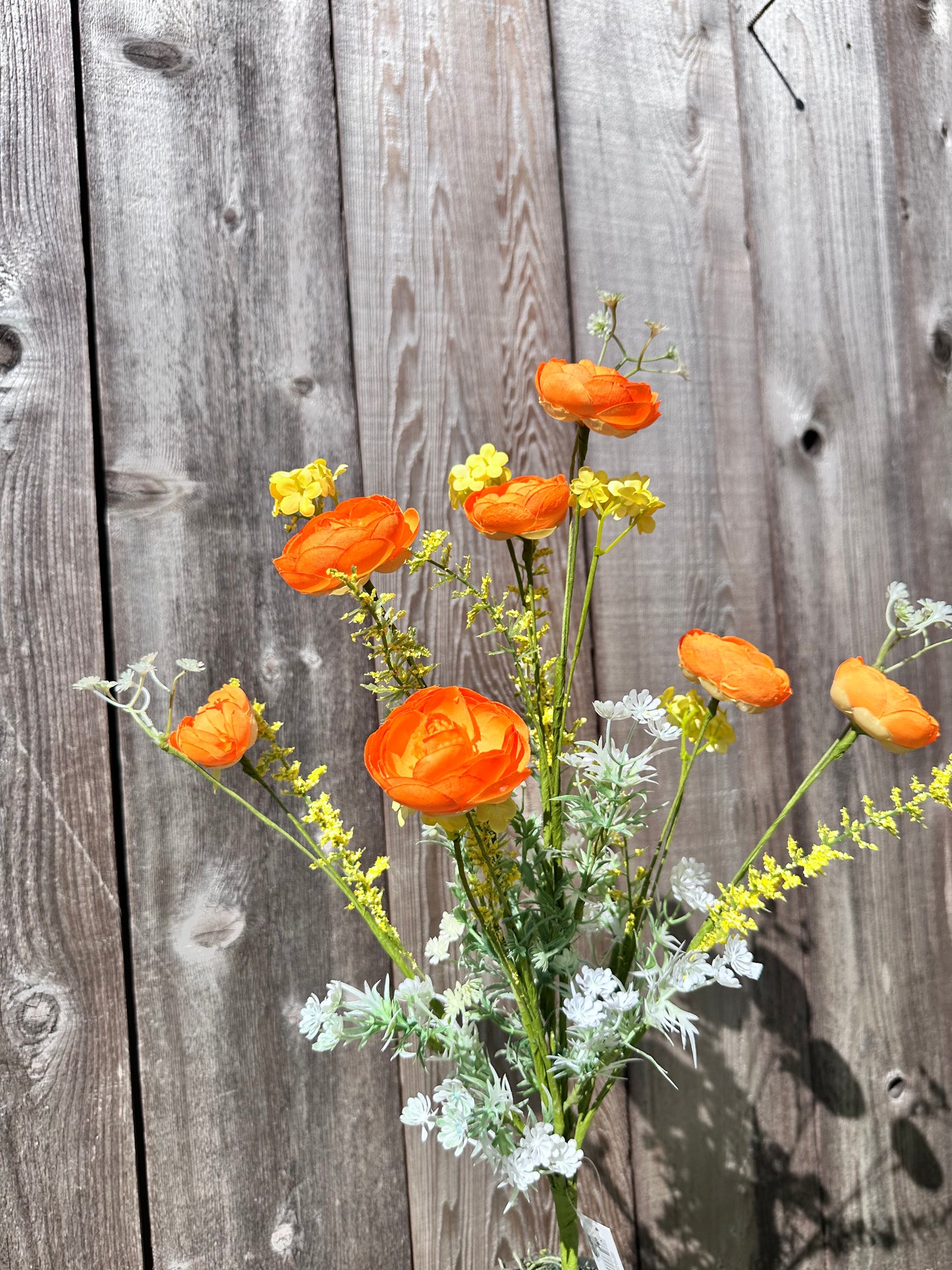 RANUNCULUS MIXED 40218-OR