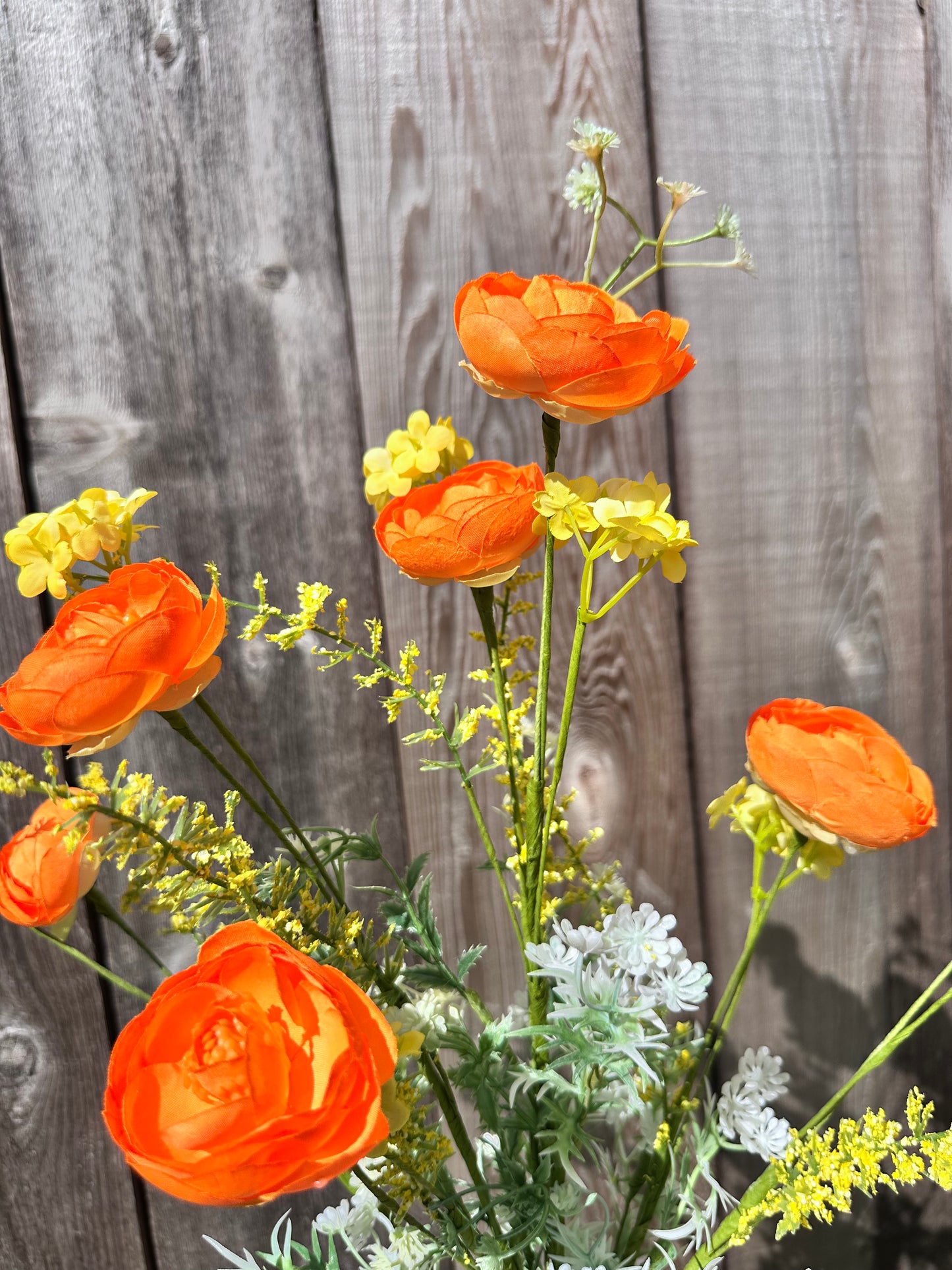 RANUNCULUS MIXED 40218-OR