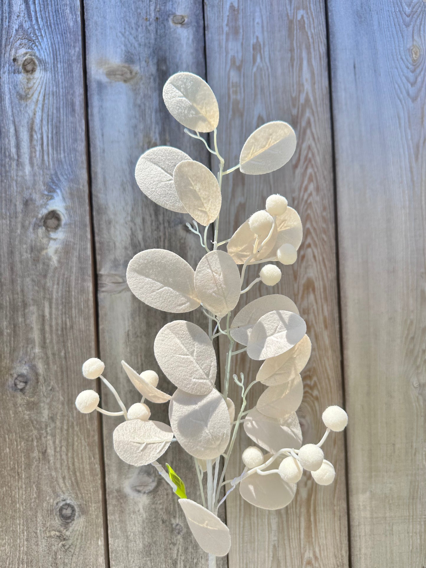 Magnolia Lvs Spray 63471BE