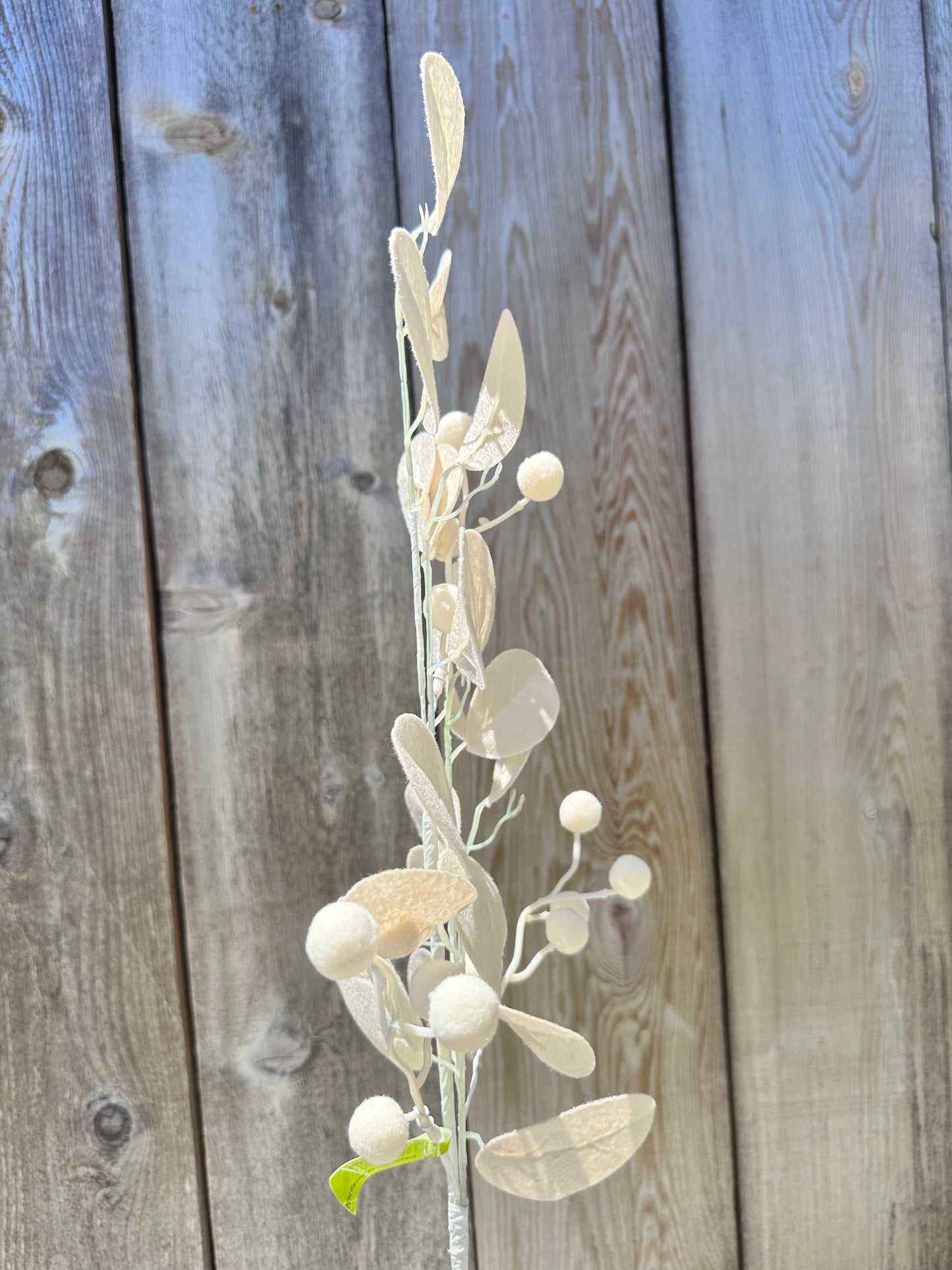 Magnolia Lvs Spray 63471BE