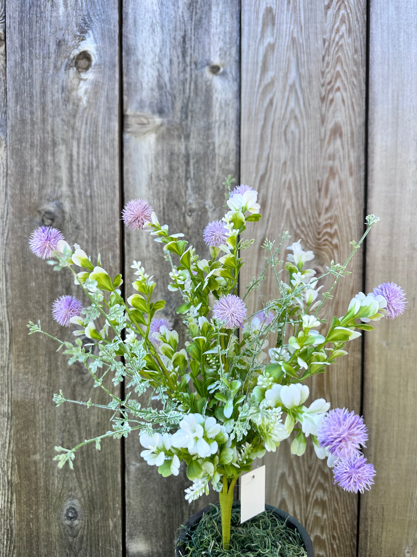 MIXED THISTLE BUSH 64839-LV
