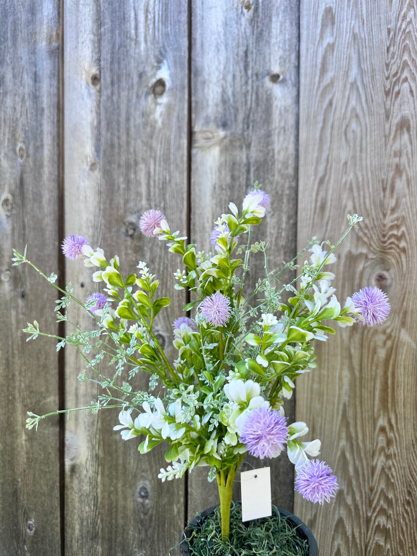 MIXED THISTLE BUSH 64839-LV