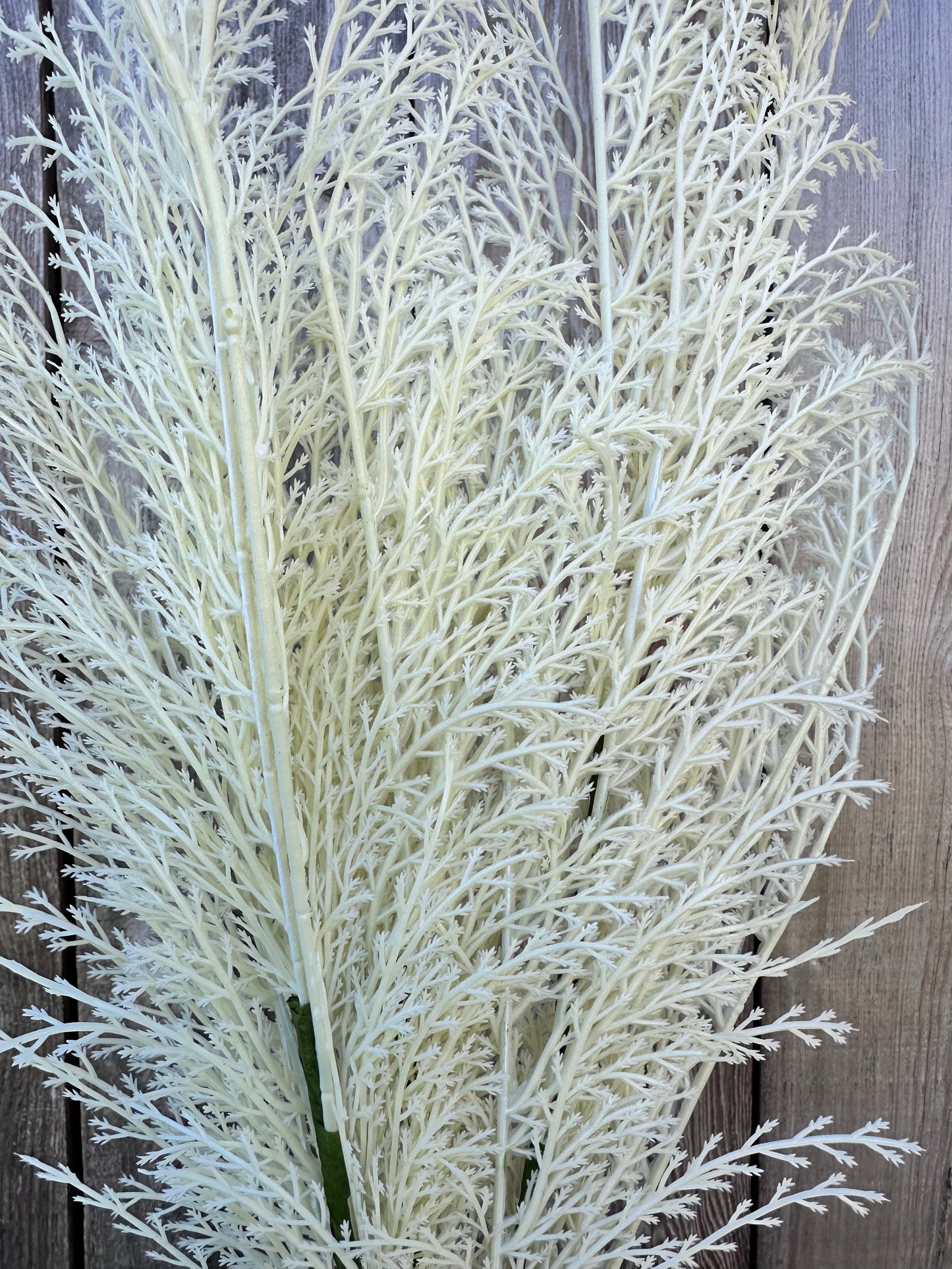 PHOENIX TAIL FERN 84099-WT