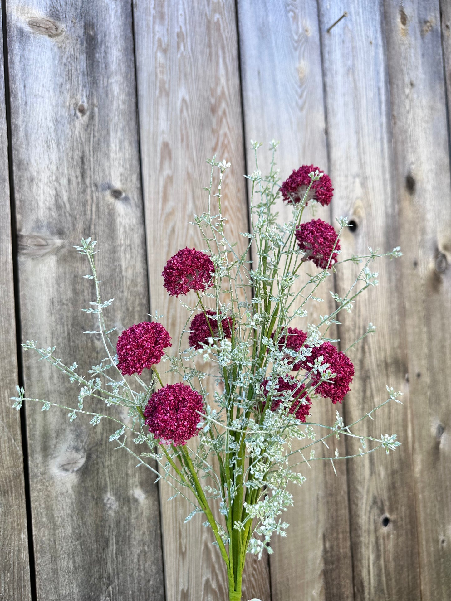 PL.WILD ALLIUM BUSH MTF21915-MAGE