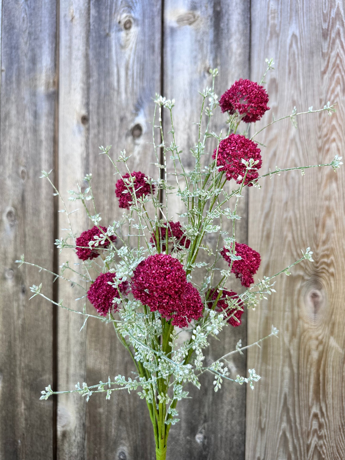 PL.WILD ALLIUM BUSH MTF21915-MAGE