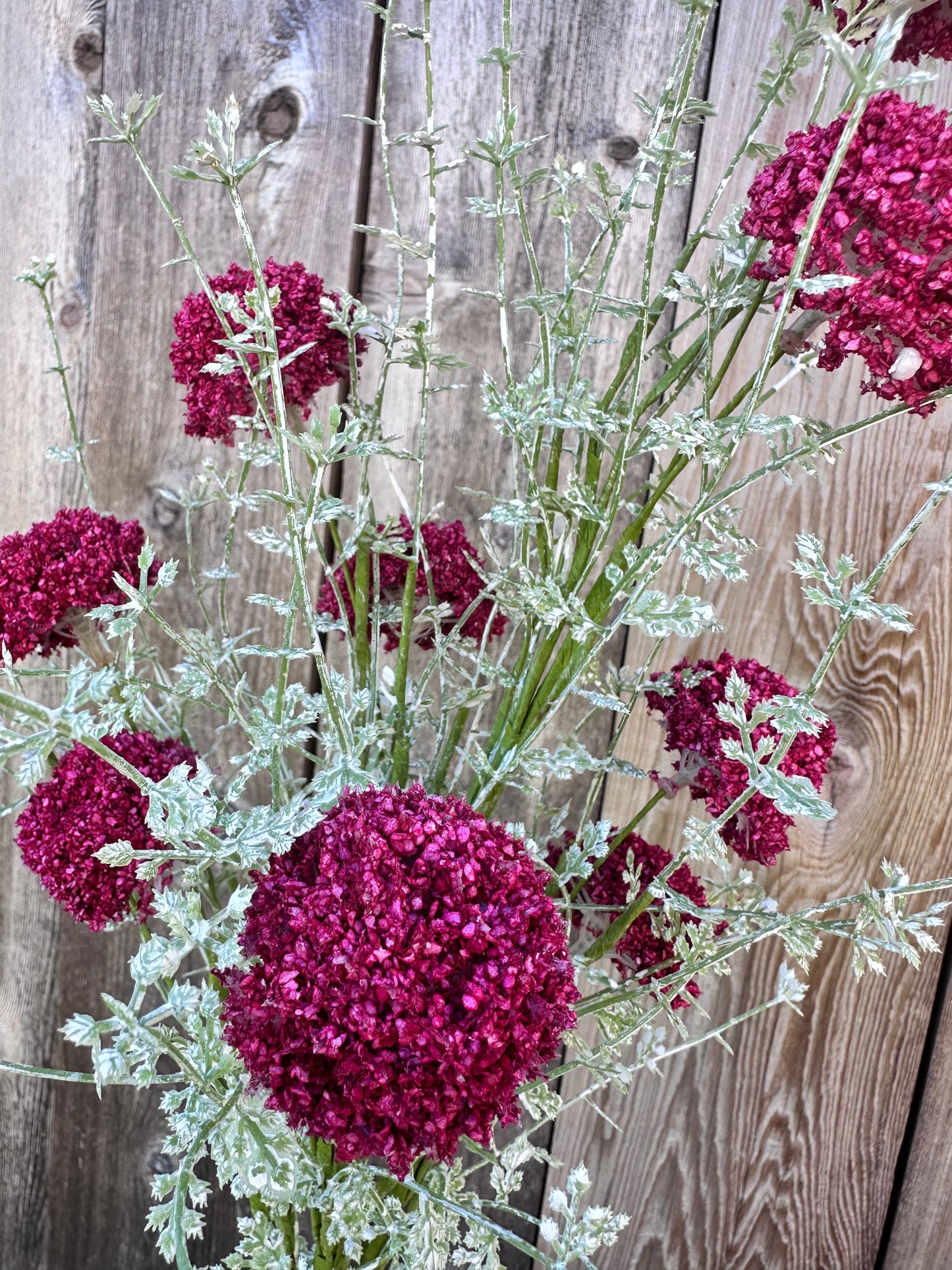 PL.WILD ALLIUM BUSH MTF21915-MAGE