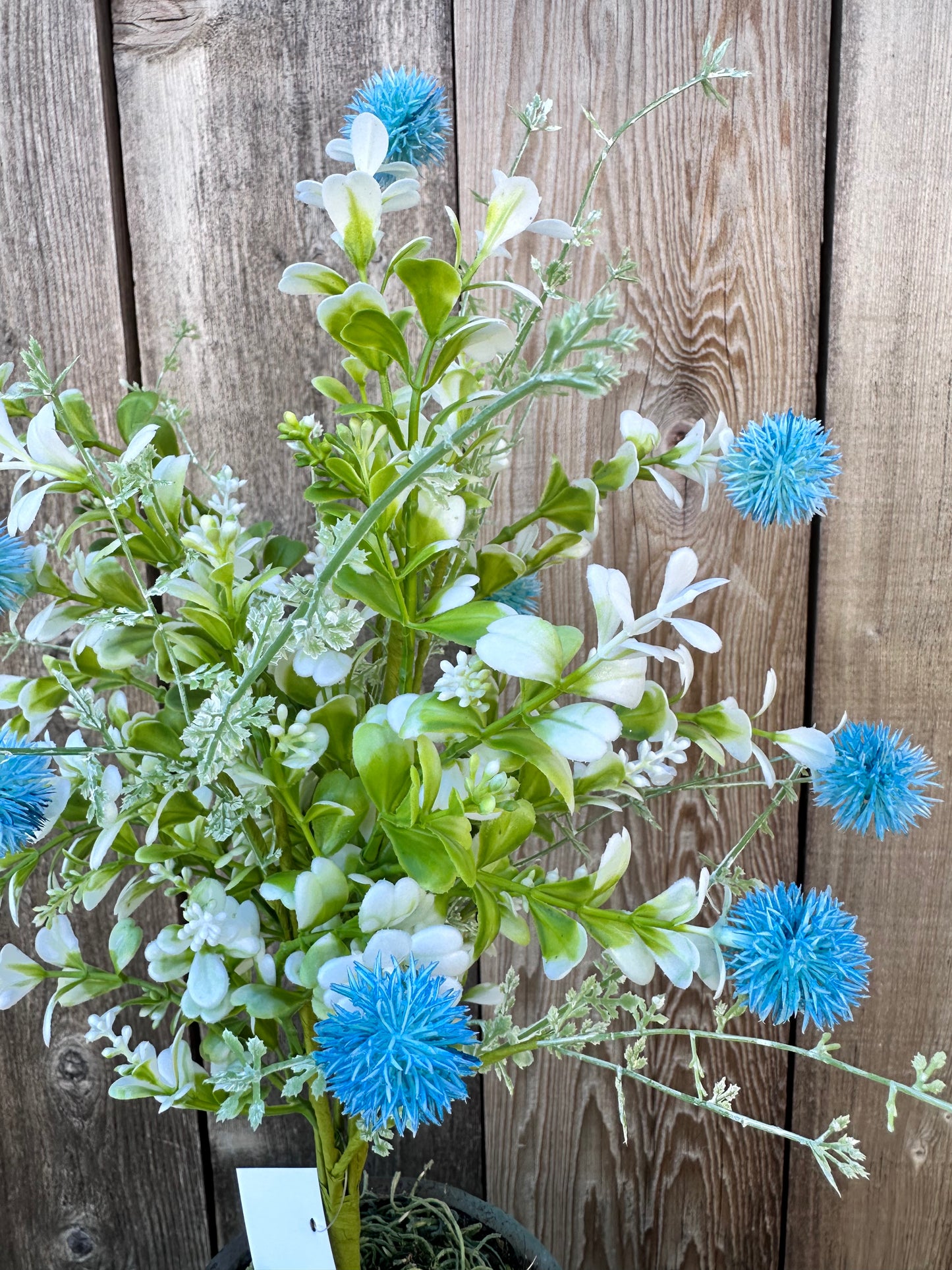 MIXED THISTLE BUSH 64839-BL