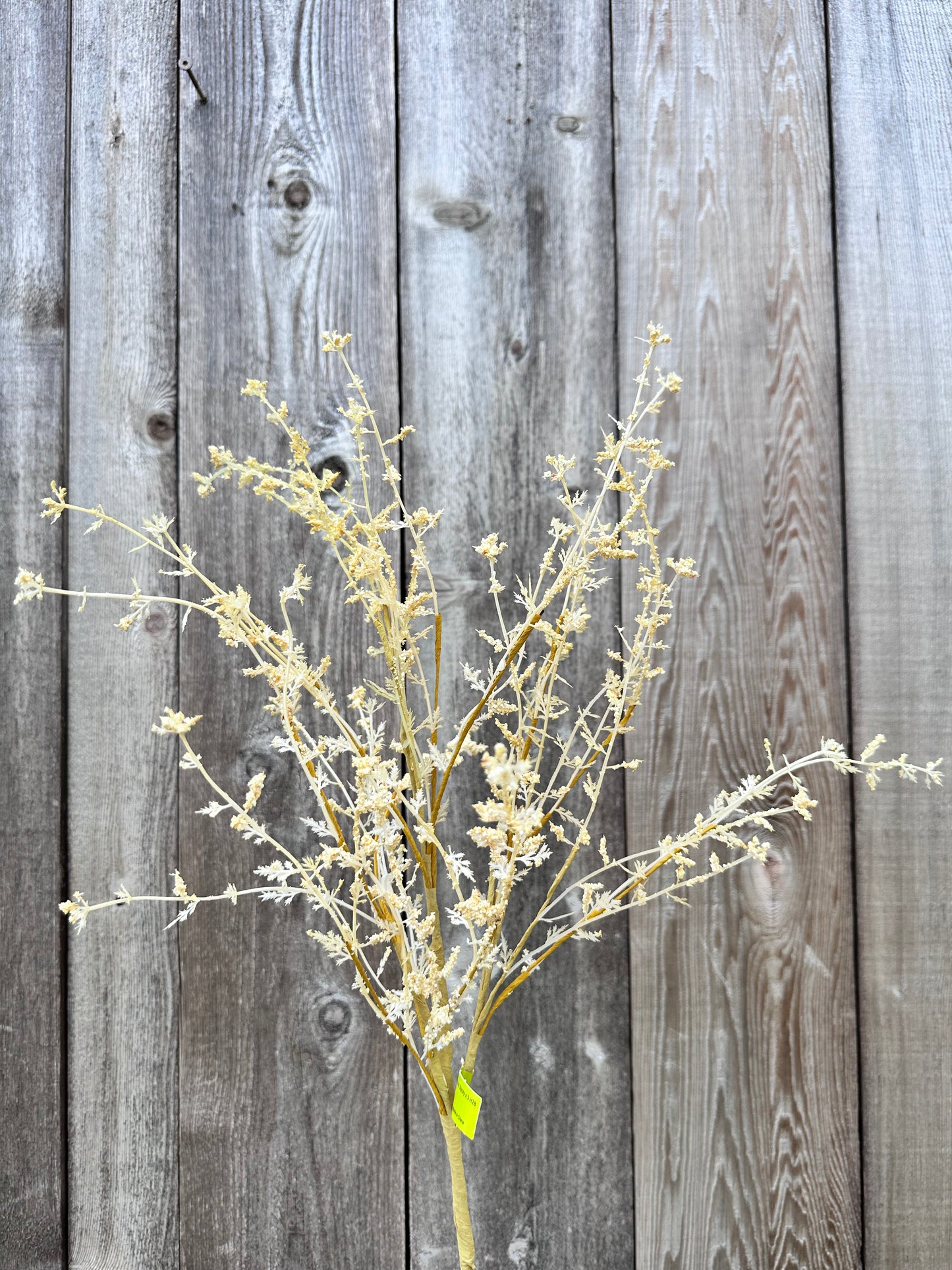 Gypso Spray 29462NAT