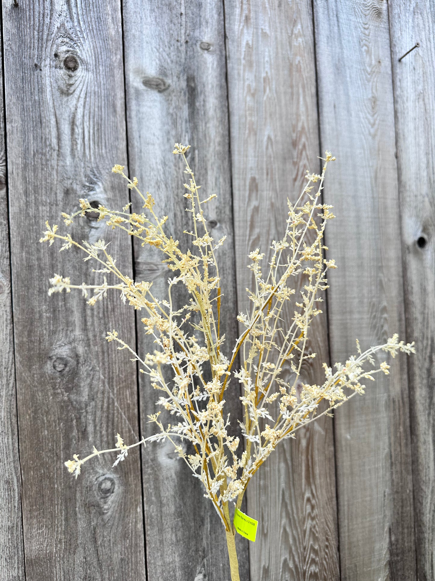 Gypso Spray 29462NAT