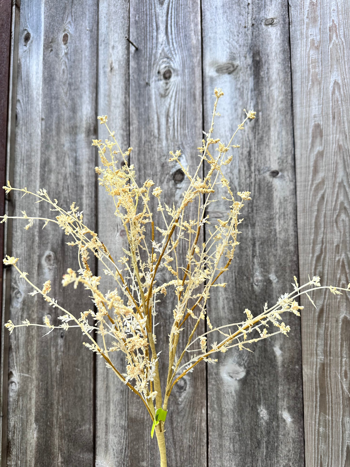 Gypso Spray 29462NAT