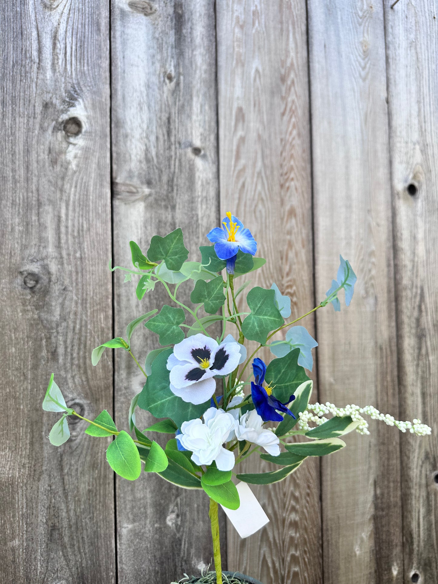 PANSY VIOLET PICK 63998