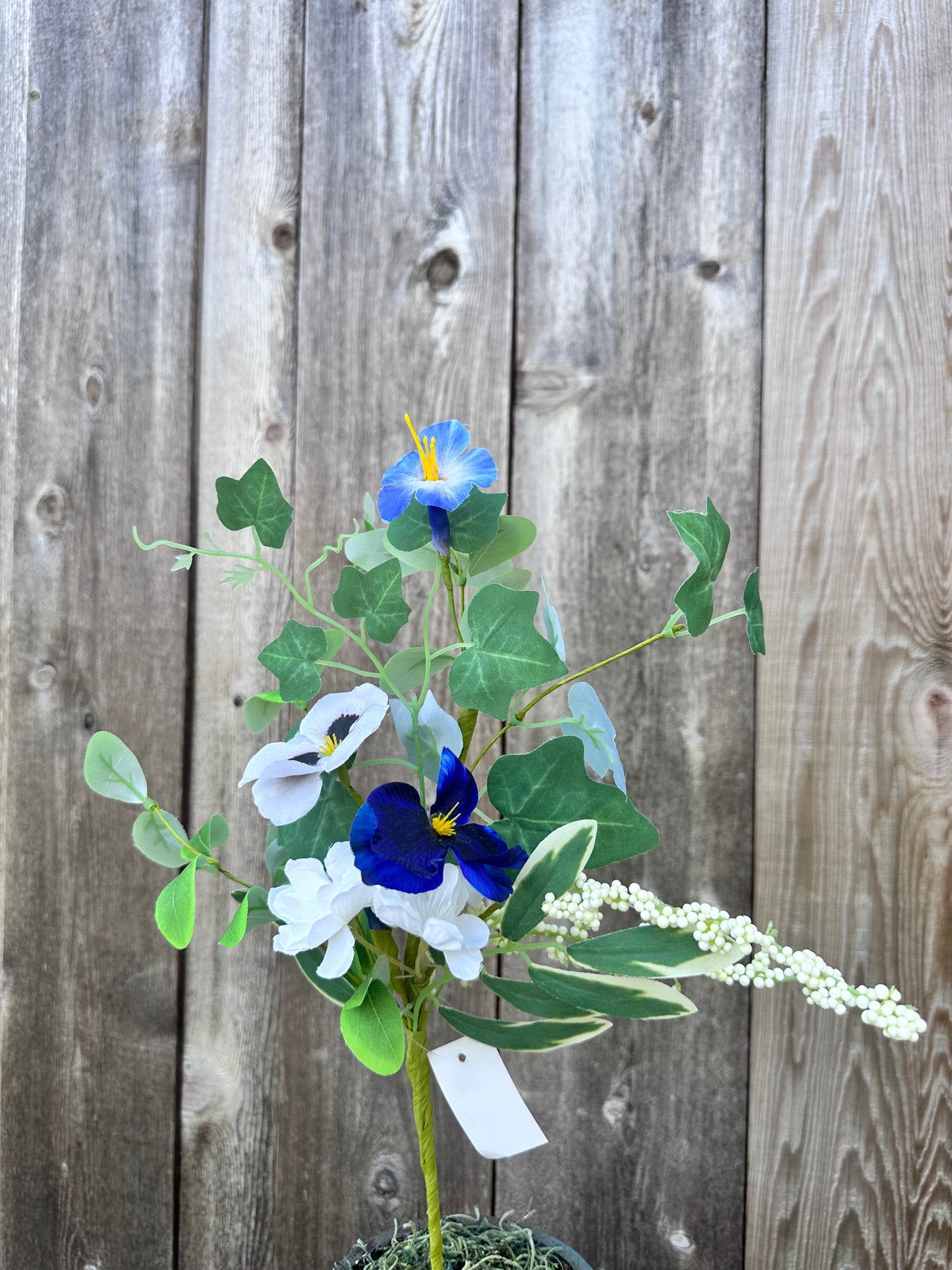 PANSY VIOLET PICK 63998